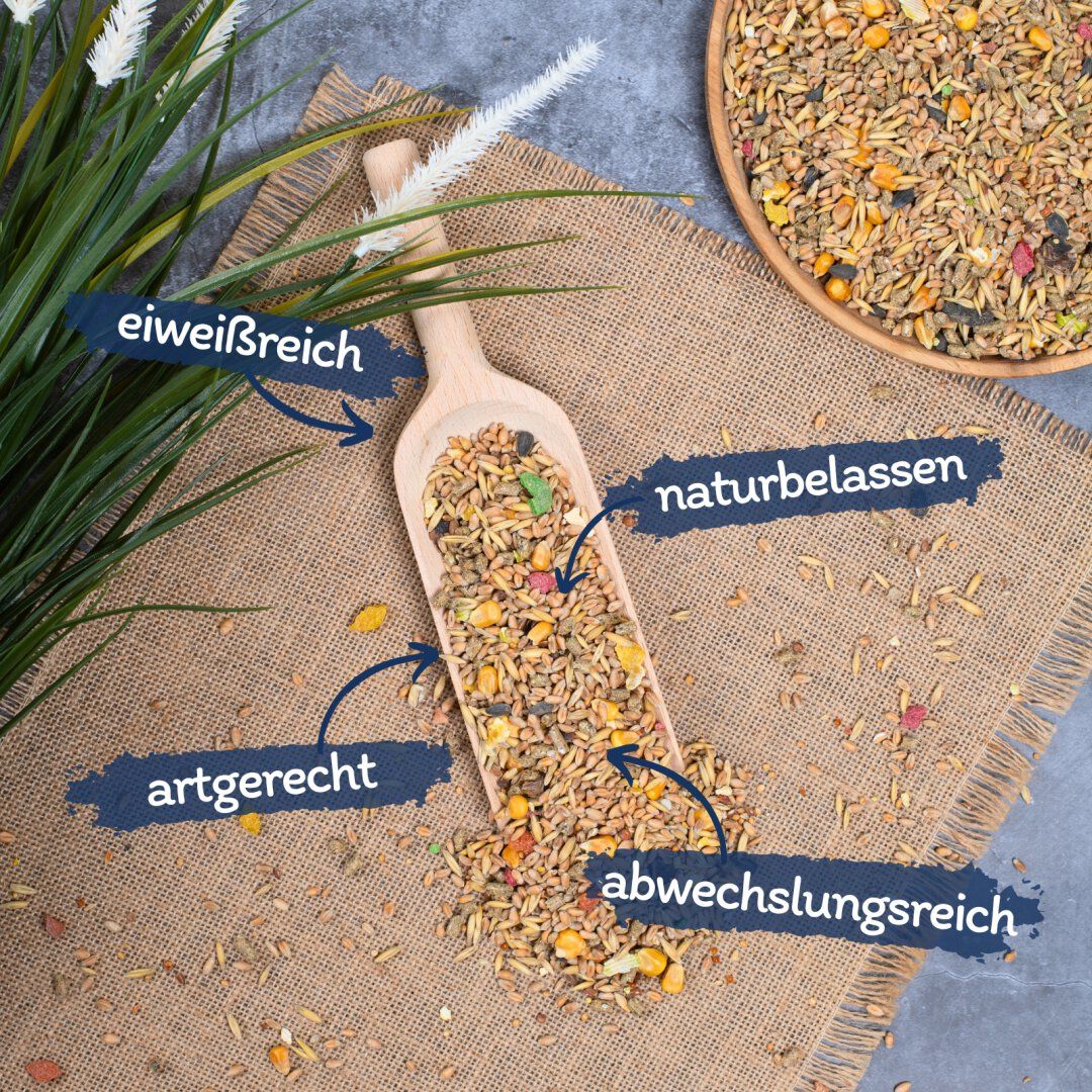 Futter für Nager in einem Holzlöffel und in einer Schale. Beschriftungen: eiweißreich, naturbelassen, artgerecht, abwechslungsreich.