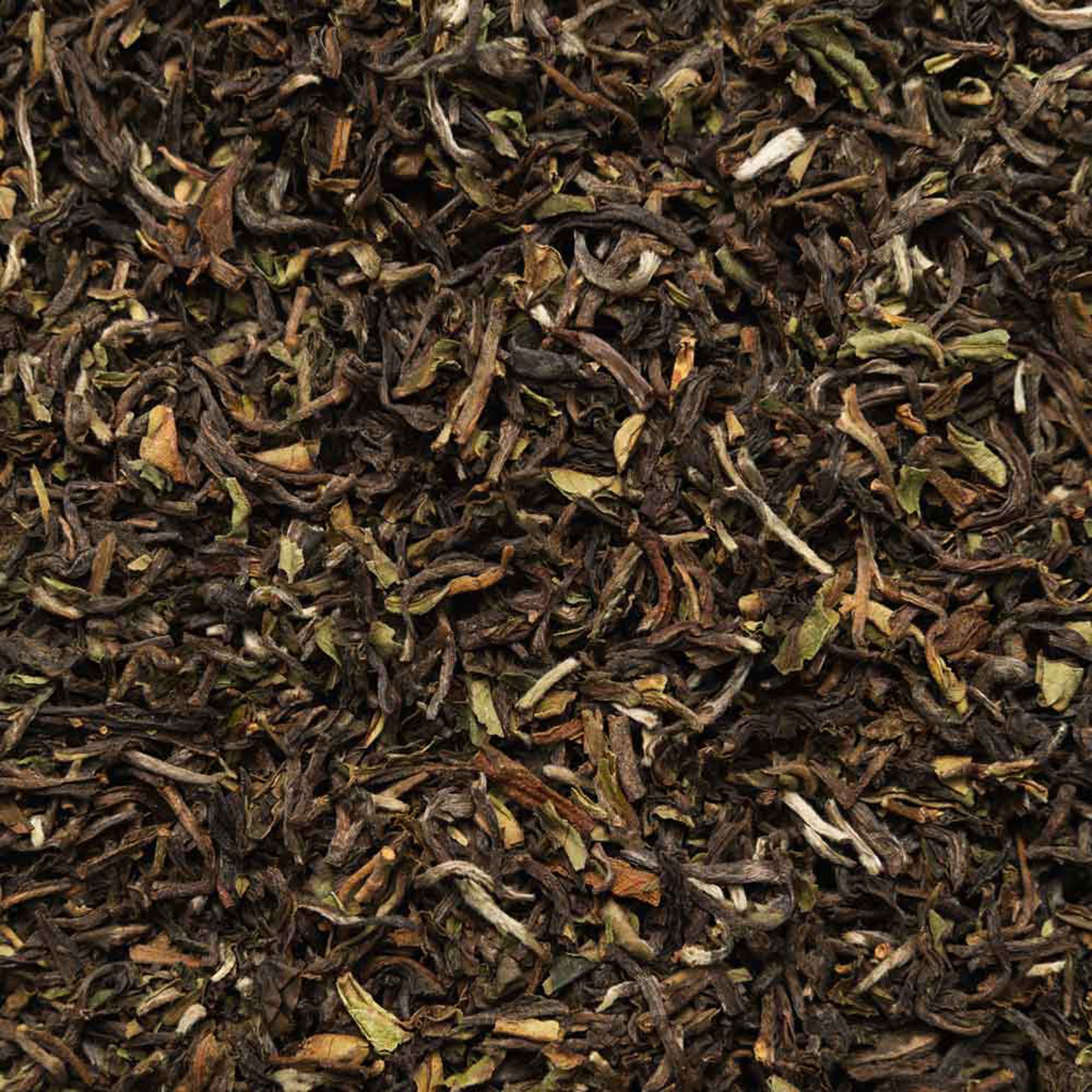 Biotiva Darjeeling First Flush FTGFOP1 Schwarztee Bio