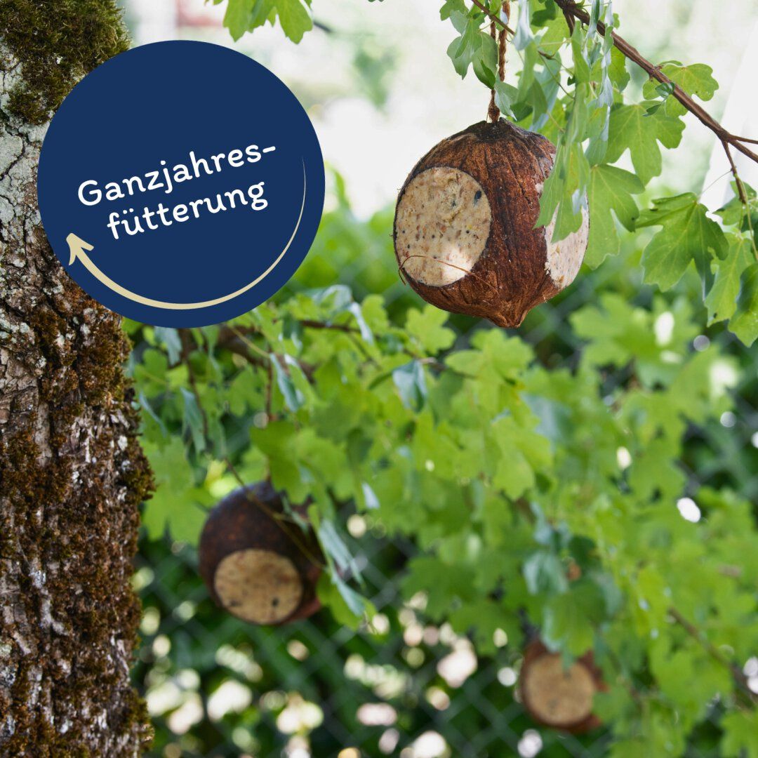 Lyra Pet® Gefüllte Kokosnuss mit Löchern