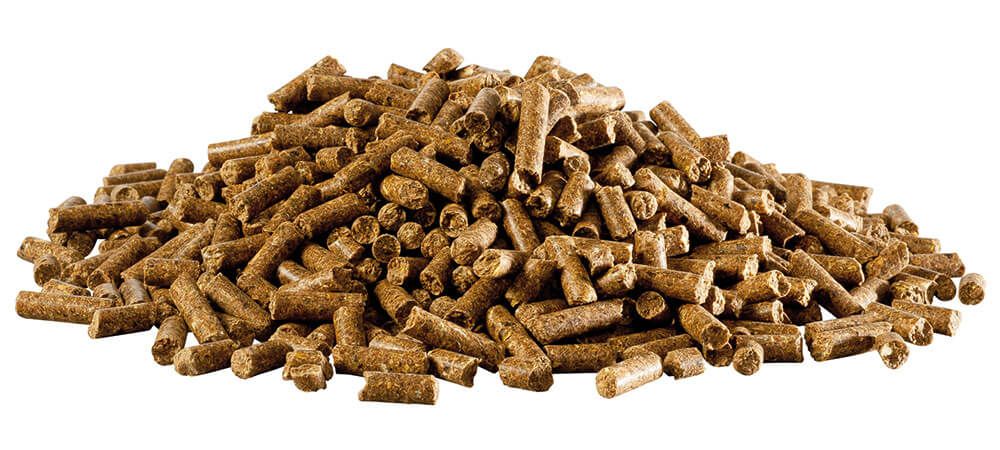 Haufen brauner Pellets. Zylindrische Form, 5mm Durchmesser. Auf weißem Hintergrund.