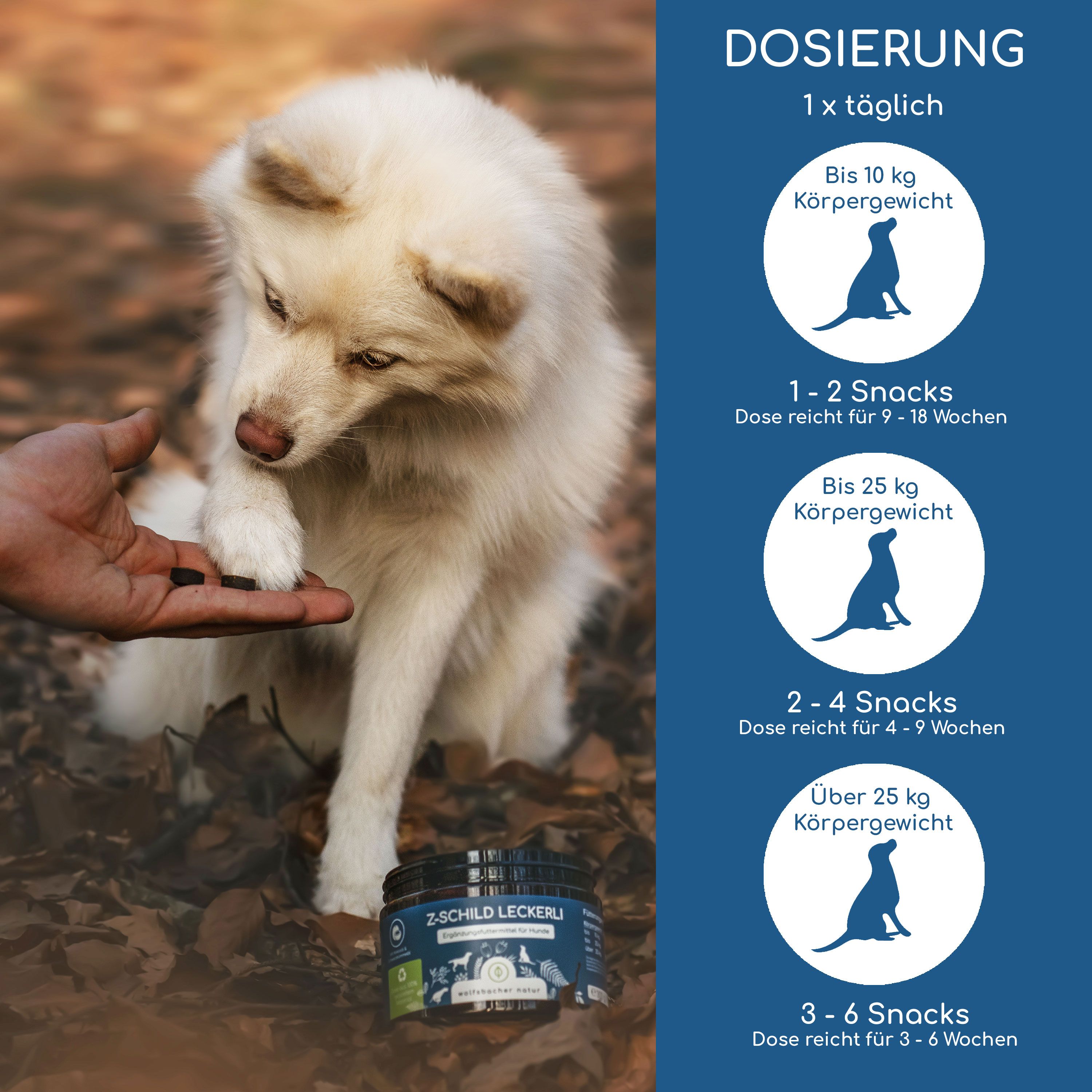 Weißer Hund und Hand mit Leckerli. Dosierung: 1x täglich. 1-2 Snacks, 2-4 Snacks, 3-6 Snacks. Dose Z-Schild Leckerli.