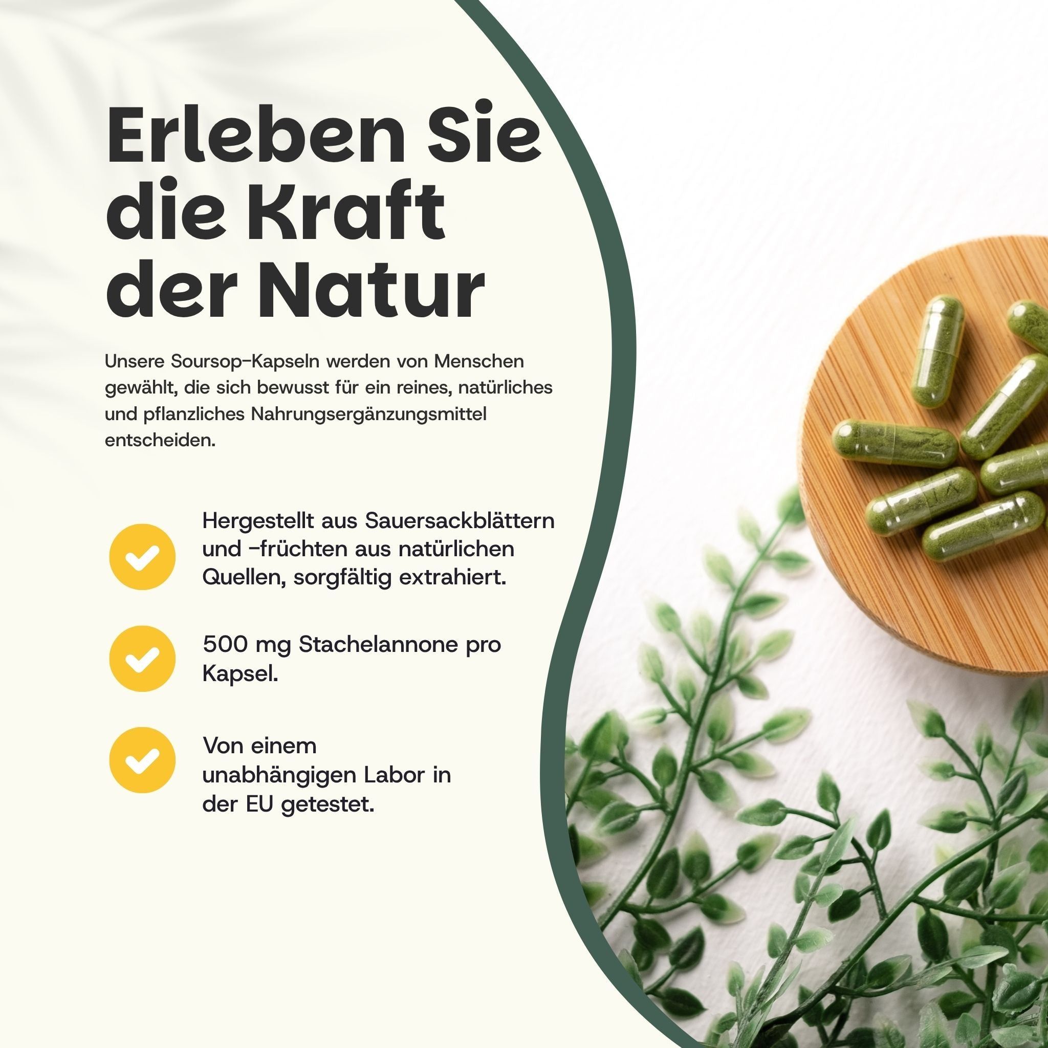 Holzbrett mit grünen Kapseln. Text: 500 mg Stachelannone pro Kapsel. Von einem unabhängigen Labor in der EU getestet.
