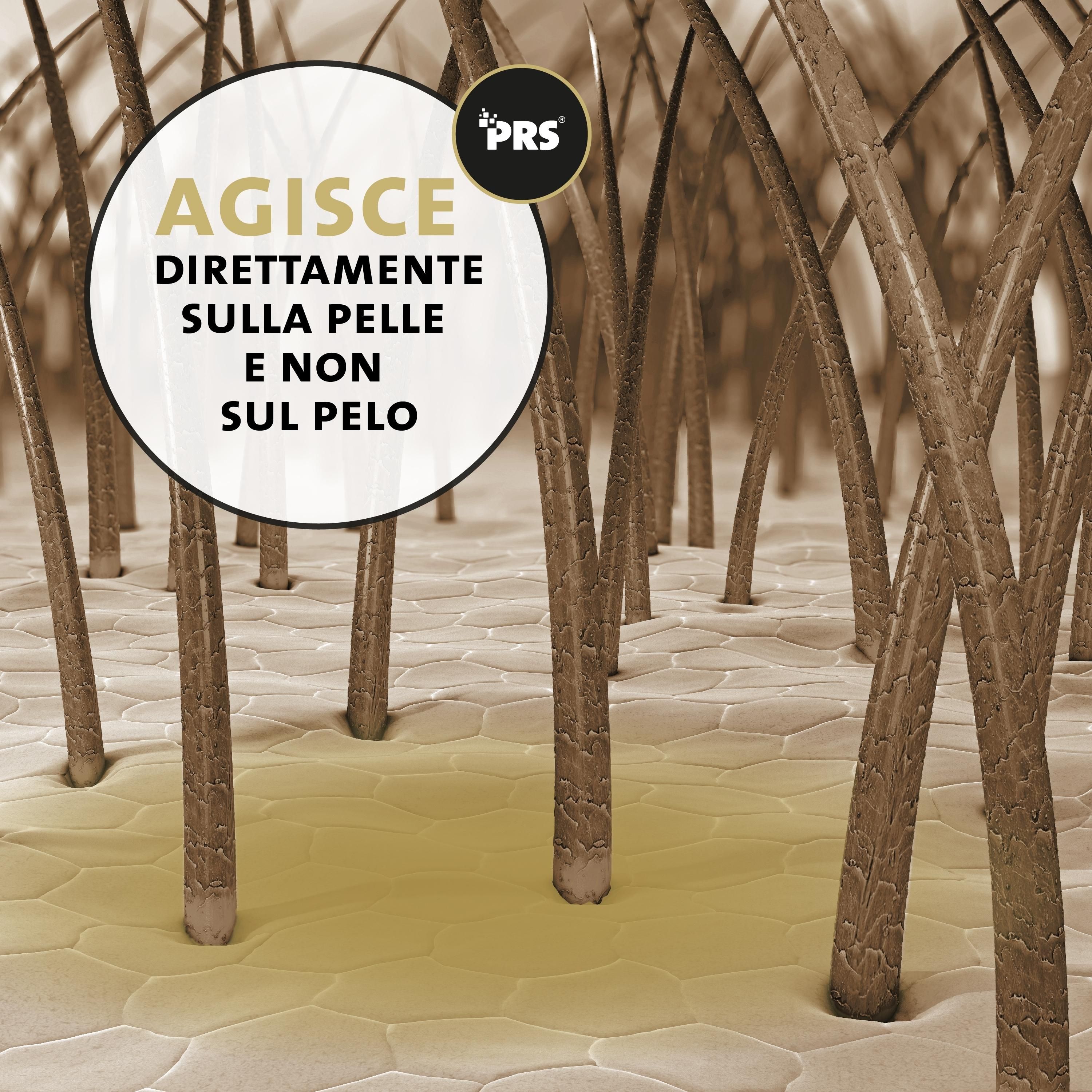 Nahaufnahme von Hundehaaren. Text: Wirkt direkt auf der Haut und nicht auf dem Fell. PRS-Logo.