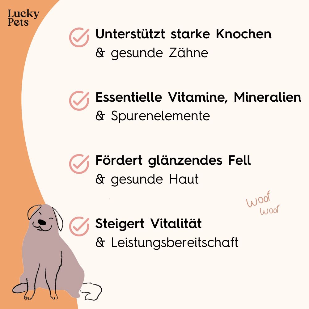 Barf Pulver für Hunde