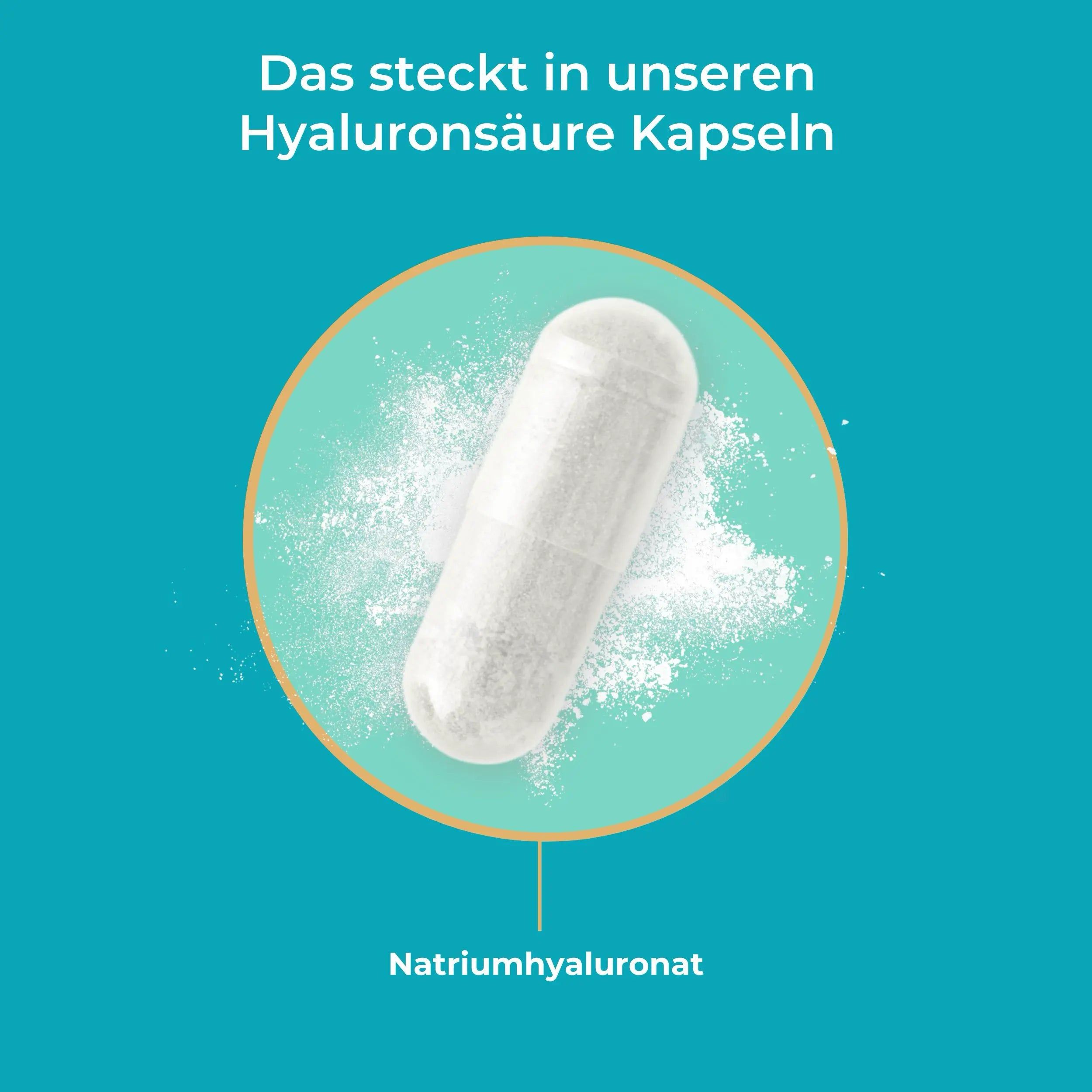 Viktilabs Hyaluronsäure Kapseln: 500 mg Hyaluron aus pflanzlicher Fermentation