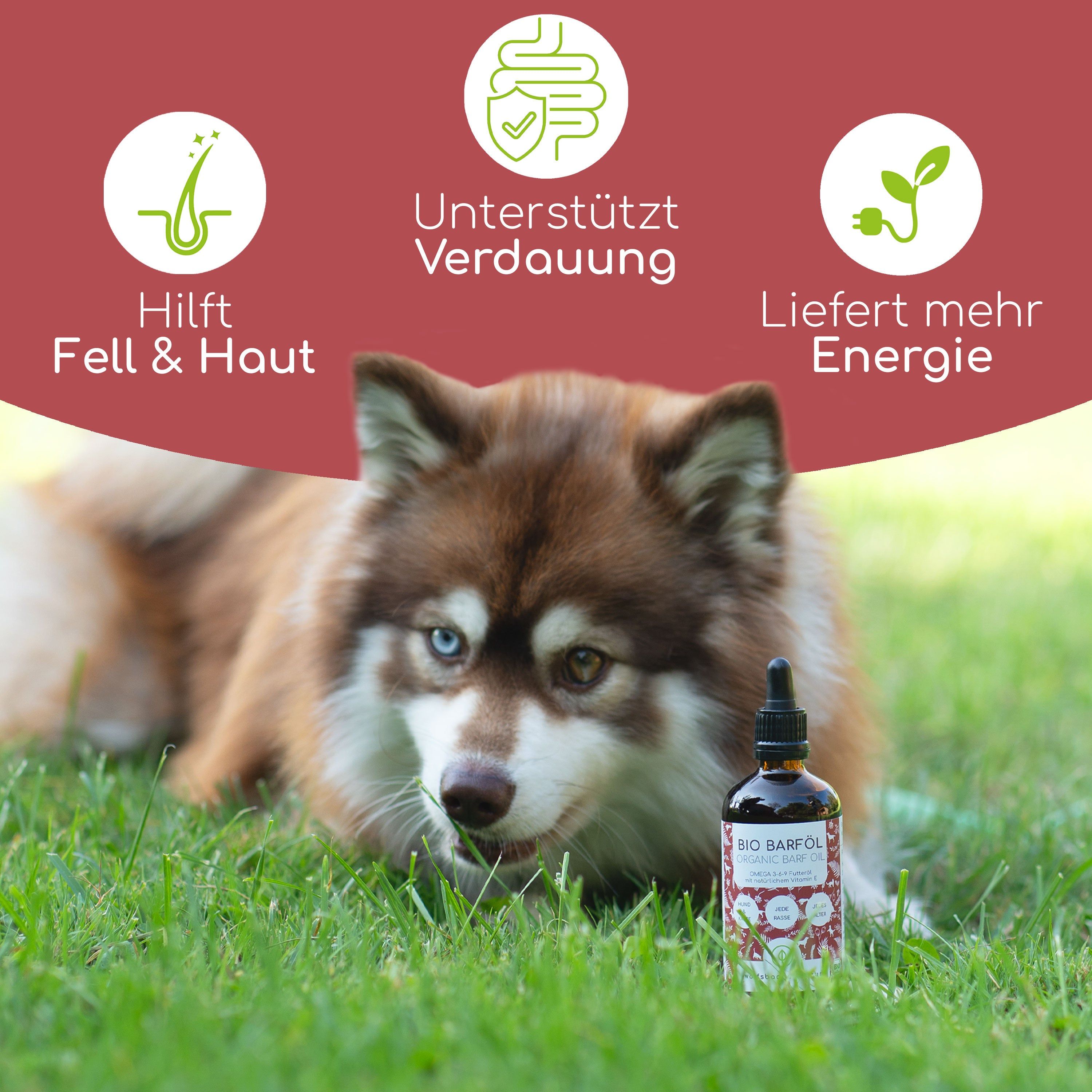 Hund auf Gras mit Flasche. Text: Hilft Fell & Haut, Unterstützt Verdauung, Liefert mehr Energie. Flasche mit Tropfer.