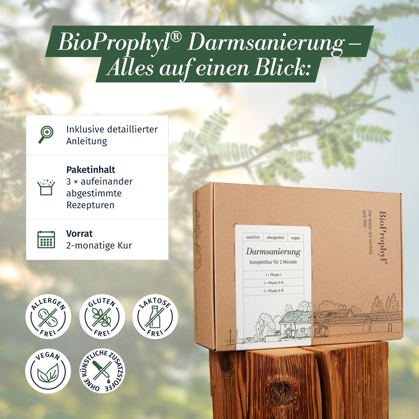 BioProphyl Darmsanierung