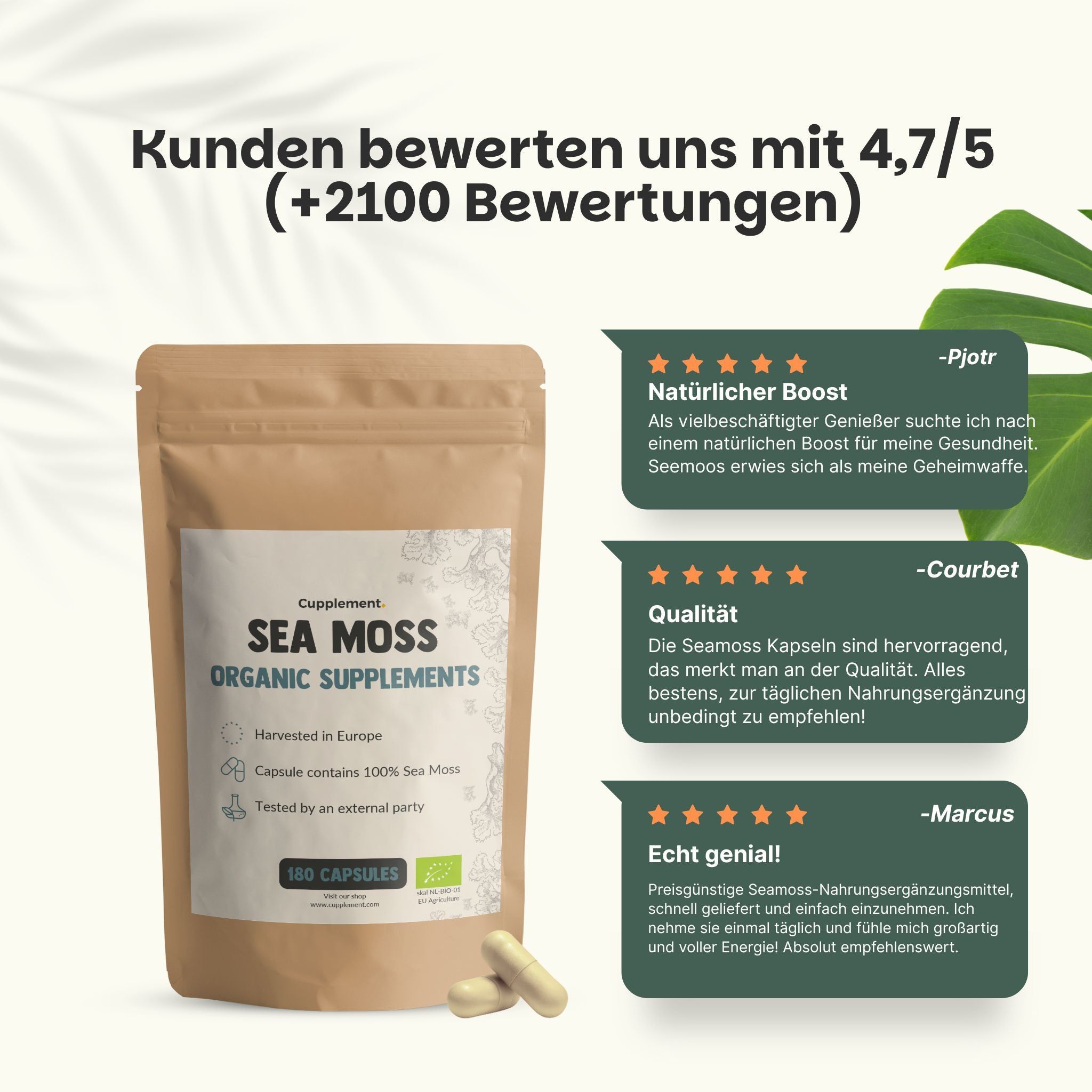 Kundenbewertungen. Brauner Beutel mit Sea Moss Organic Supplements. 180 Kapseln. Zwei Kapseln liegen daneben. 4,7/5 Sterne.