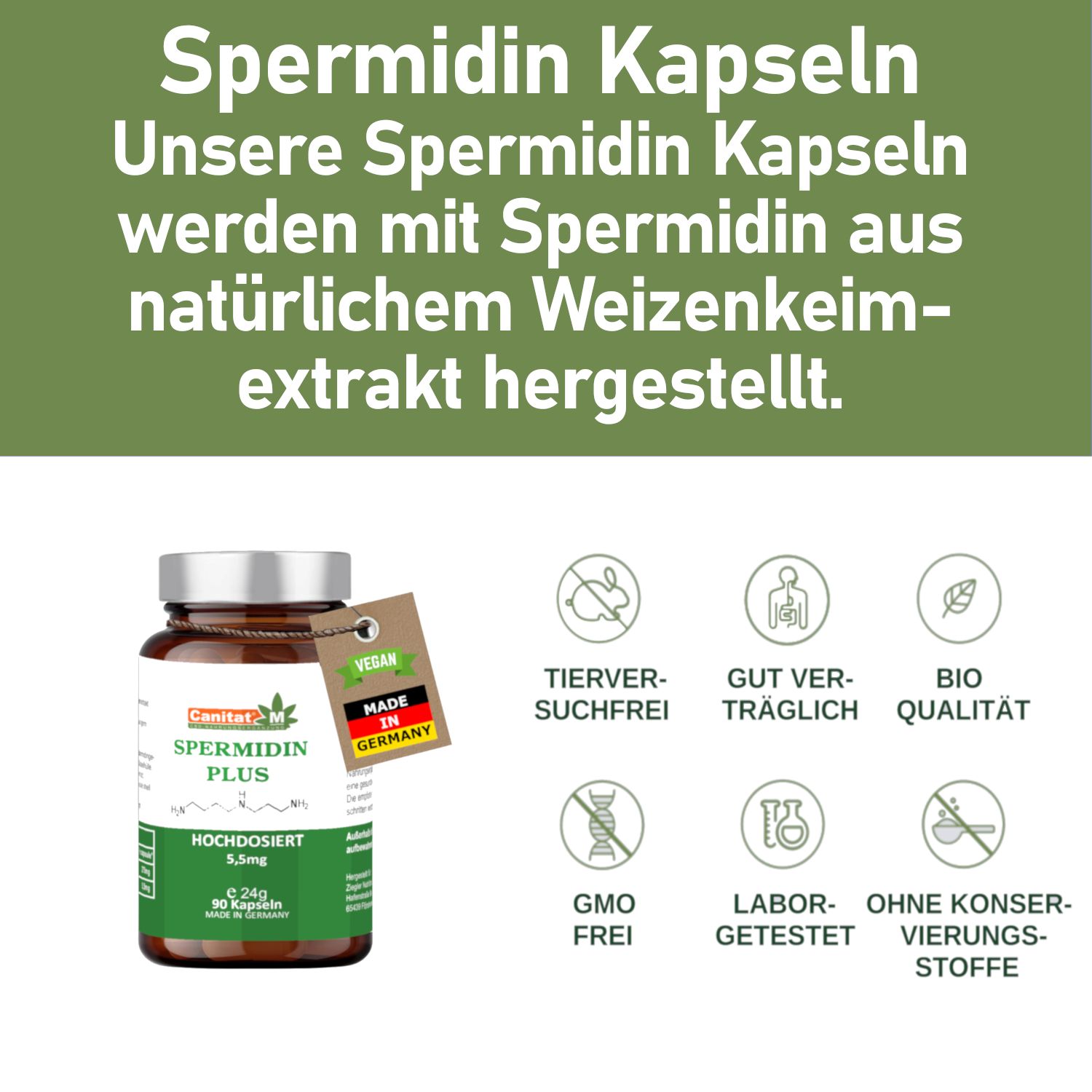 Produktflasche mit Text. Text über Spermidin Kapseln, hergestellt aus Weizenkeimextrakt. Logos: tierversuchsfrei, gut verträglich, Bio-Qualität.