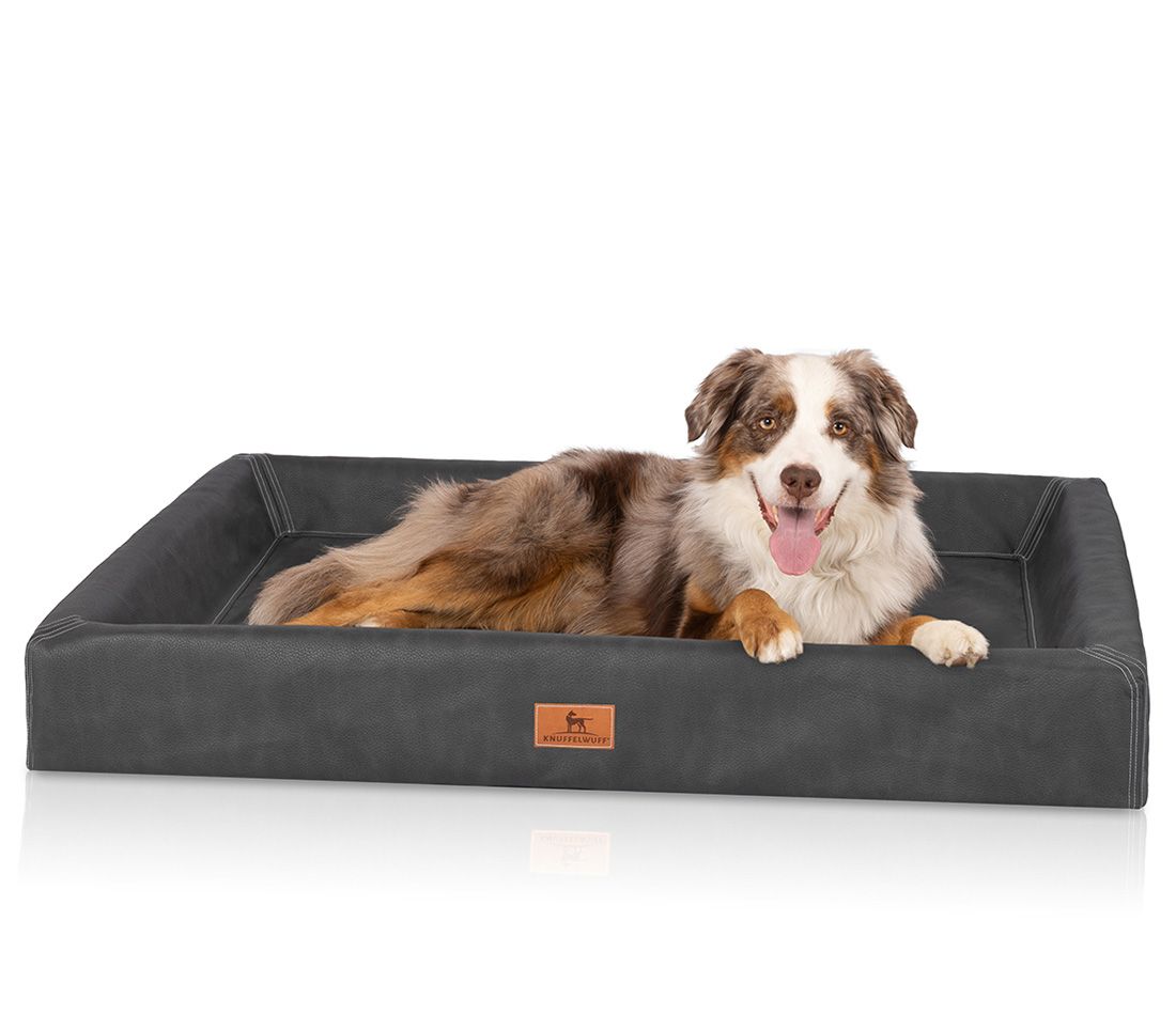 Orthopädisches Hundebett Austin, grau. Ein Hund liegt im Bett. Rechteckige Form mit erhöhten Seiten. Braunes Logo-Etikett.