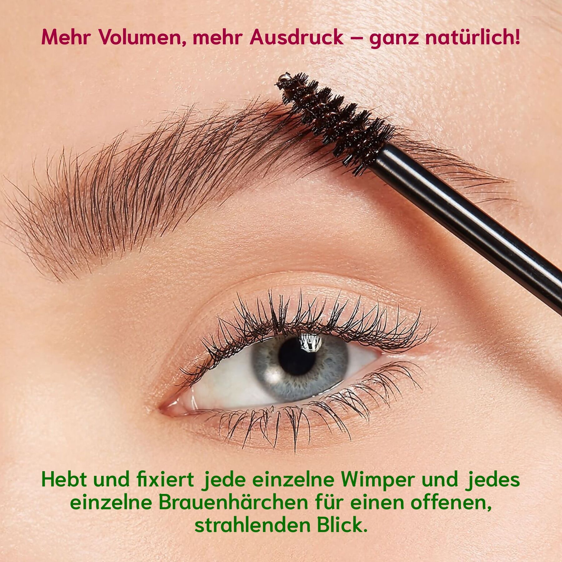 Nahaufnahme eines Auges mit Wimpern. Eine Bürste wird verwendet. Hintergrund mit Augenbrauen.