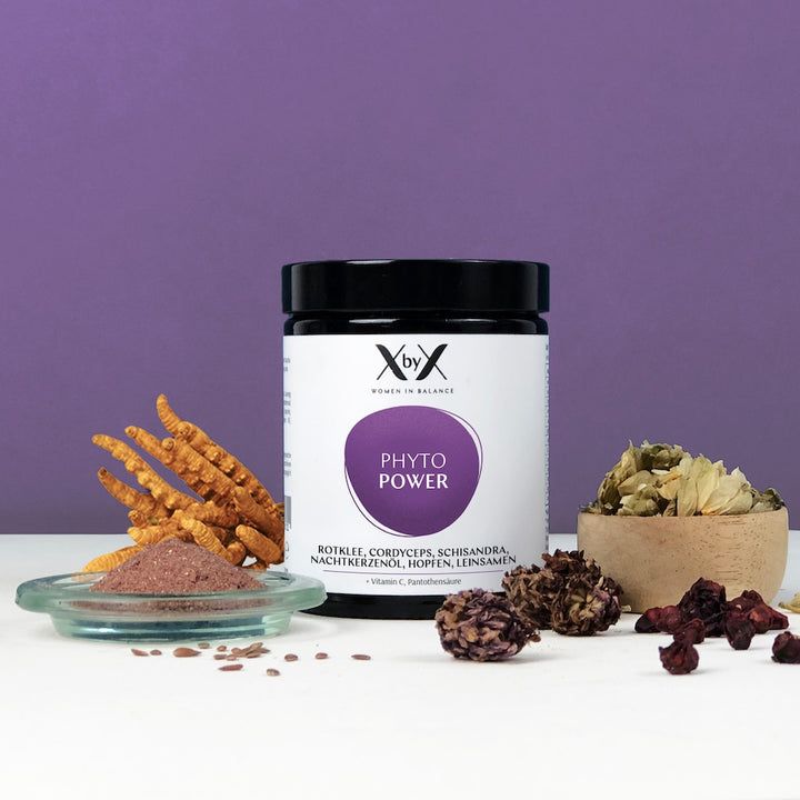 Dose XbyX® Phyto Power, Zutaten und Kräuter. Auf weißem Untergrund, lila Hintergrund. Verschiedene Kräuter und Pulver.