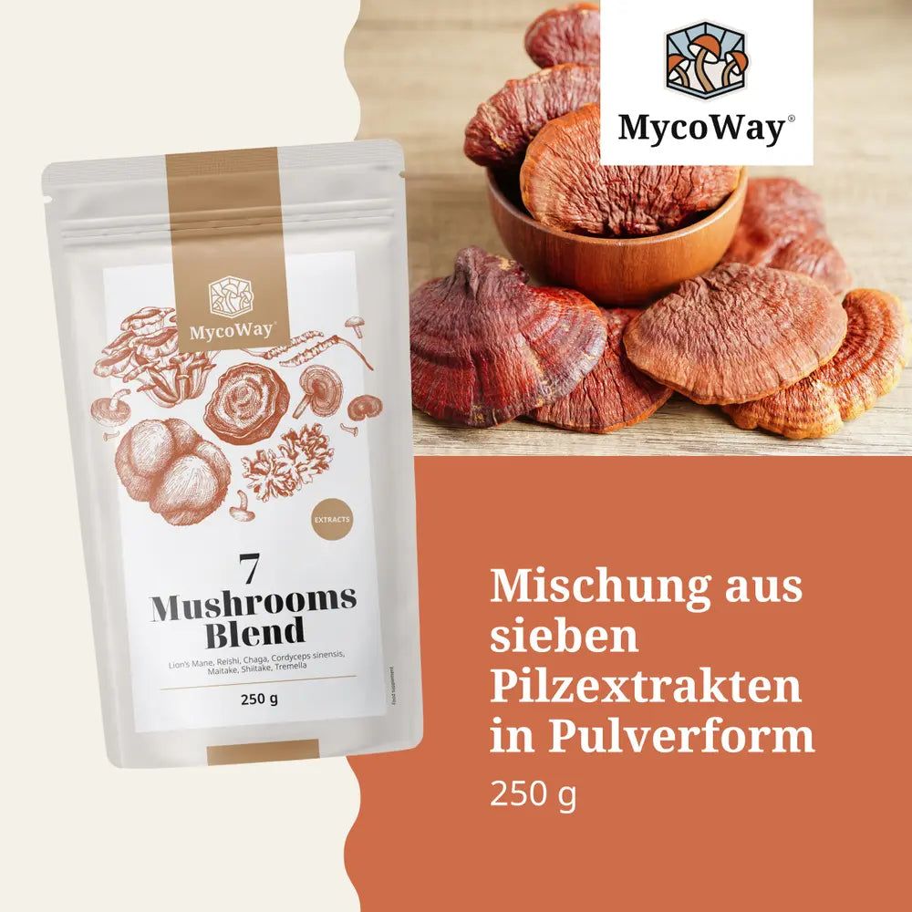Produktverpackung mit Pilzextrakten und getrockneten Pilzen in einer Schale. Text: Mischung aus sieben Pilzextrakten.