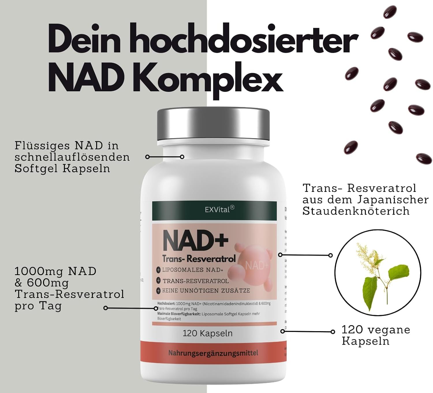 EXVital® NAD+ Kapseln, hochdosiert 1000mg NAD+ & 600mg Trans-Resveratrol pro Tag