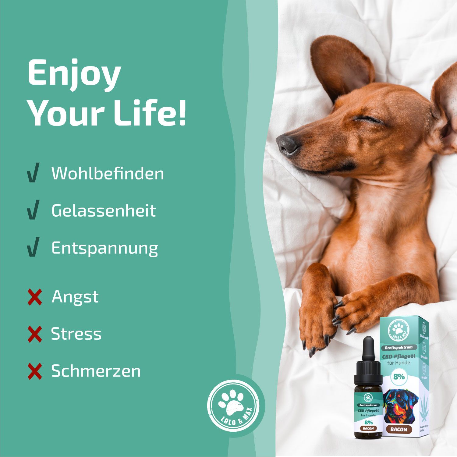 Dackel liegt entspannt unter Decke. Flasche mit Tropfer und Karton. Aufschrift: CBD-Pflegeöl für Hunde 8%. Text: Wohlbefinden, Gelassenheit, Entspannung.