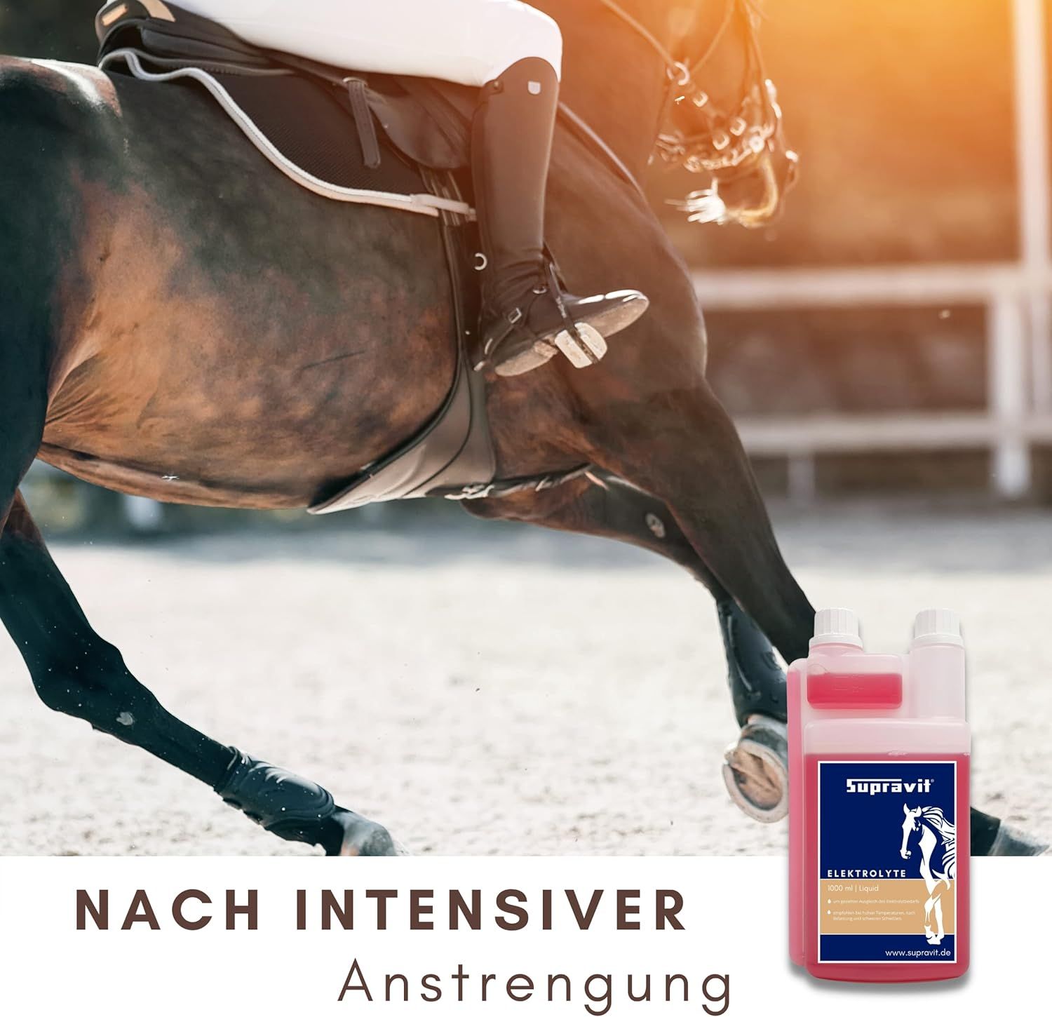 Pferd in Bewegung. Rechts: Flasche Supravit Elektrolyte. Text: Nach intensiver Anstrengung.