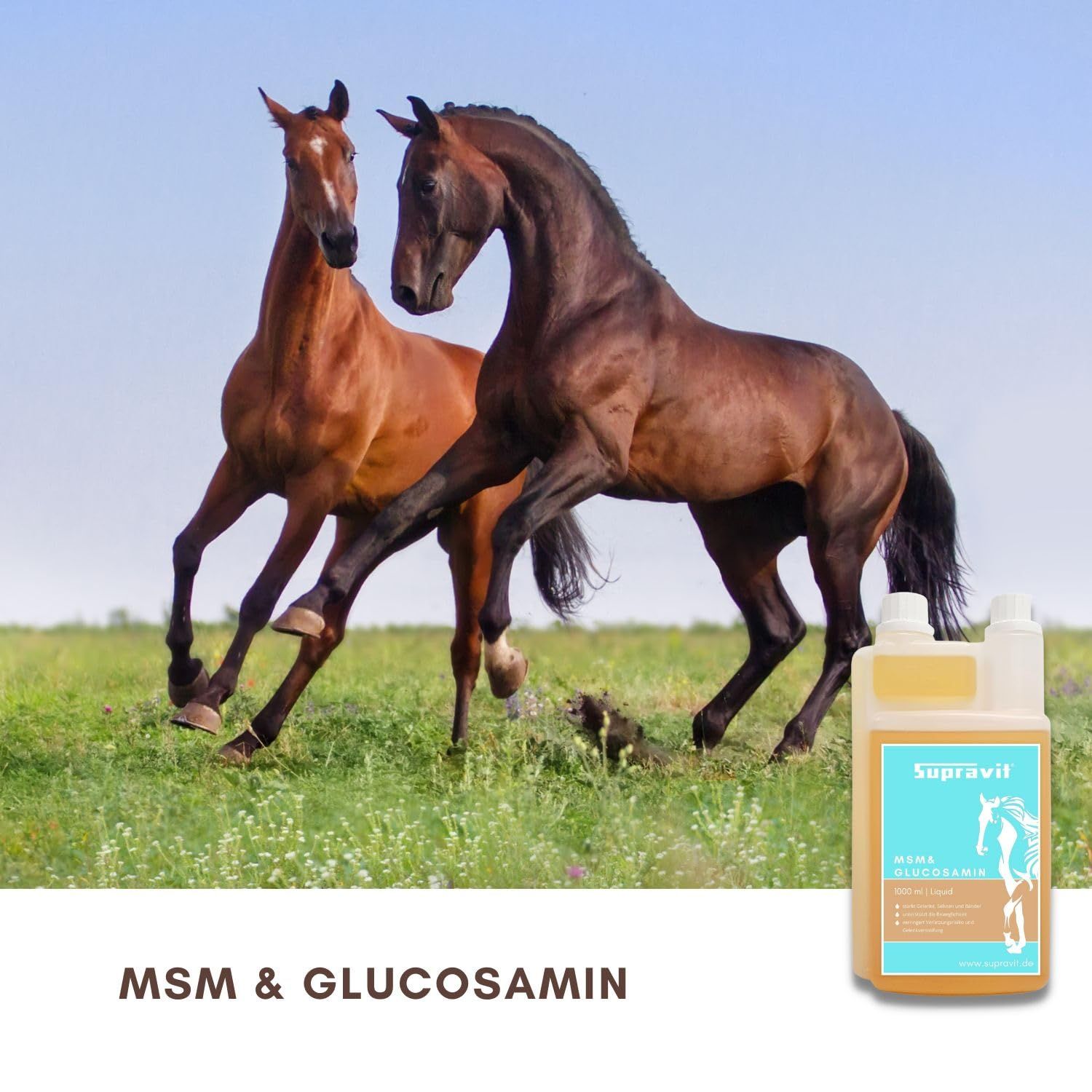Flüssiges Ergänzungsfuttermittel. Aufschrift: Supravit MSM & Glucosamin. Flasche neben zwei Pferden auf einer Wiese. Text: MSM & Glucosamin.