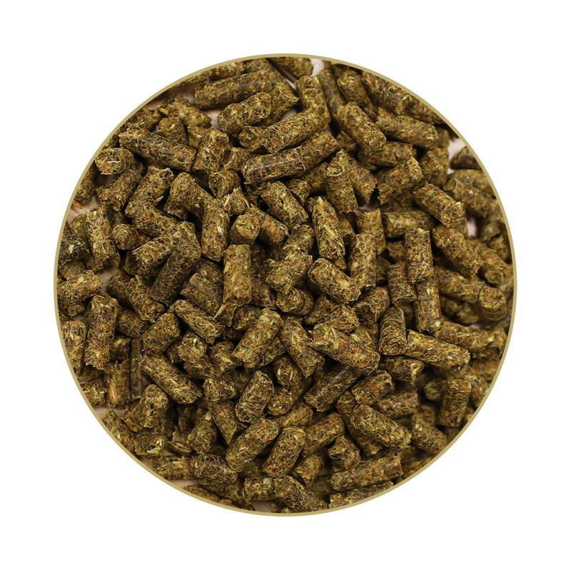 Nahaufnahme von grünen Pellets, dem Inhalt von St. Hippolyt HESTA PLUS MANGAN, in einem runden Ausschnitt.