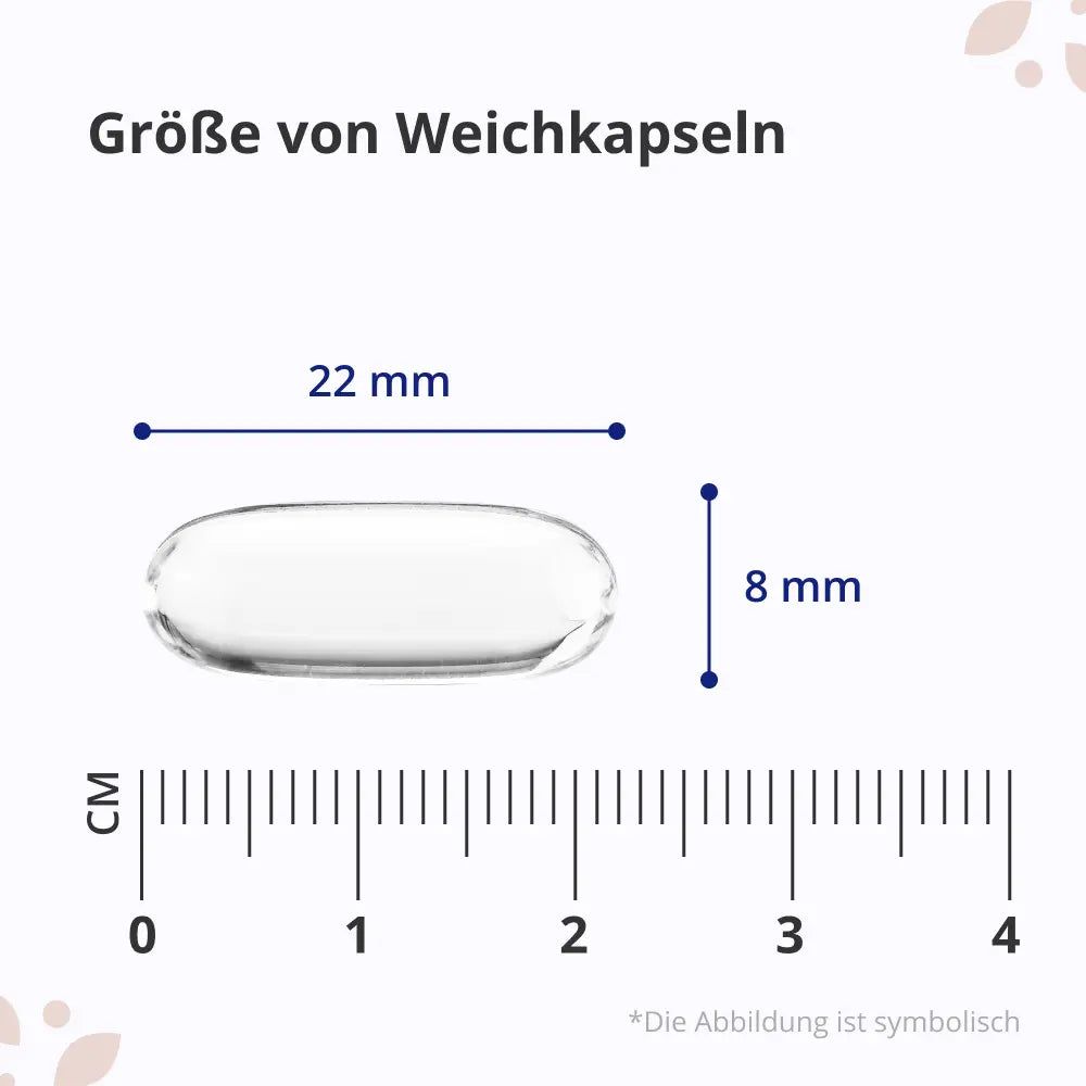 Eine Weichkapsel mit den Maßen 22 mm Länge und 8 mm Breite.