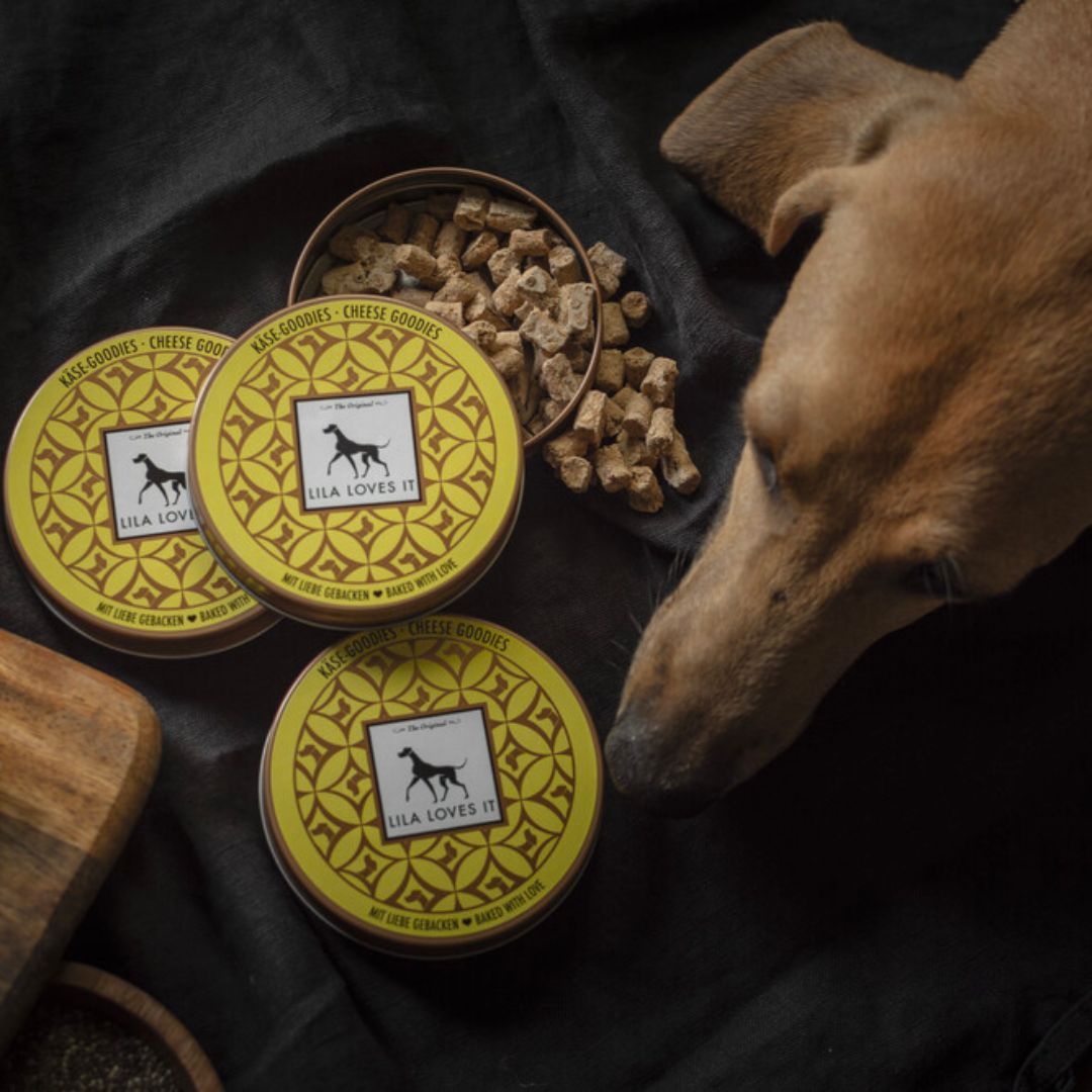 Käse Goodies - LILA LOVES IT