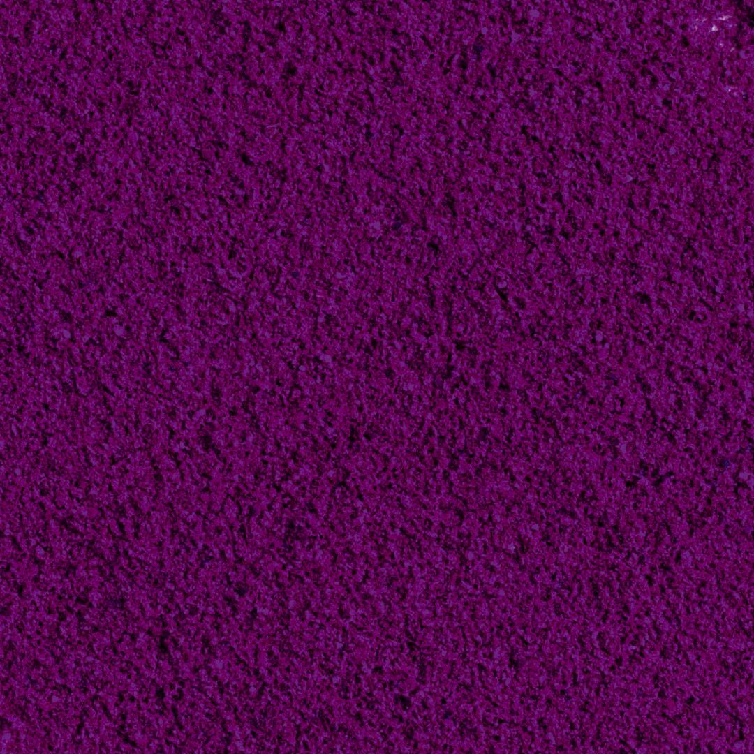 IoBoscoVivo Bio-Schwarze Johannisbeere gefriergetrocknet in Pulverform, allergenfrei