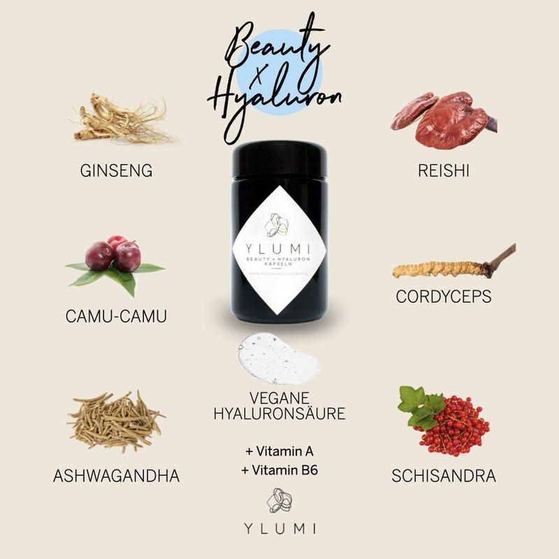 Schwarze Dose mit Zutaten. Aufschrift: YLUMI BEAUTY x HYALURON. Zutaten: Ginseng, Reishi, Camu-Camu, Cordyceps, Ashwagandha, Schisandra, Hyaluronsäure.