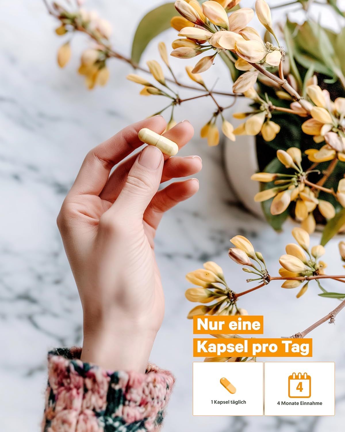 Hand hält eine Kapsel vor gelben Blüten. Nur eine Kapsel pro Tag für 4 Monate Einnahme.