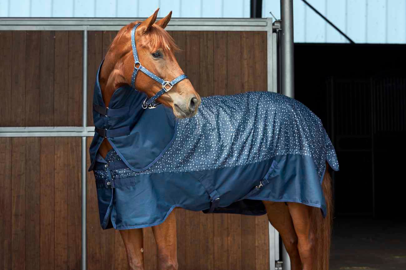 Pferdedecke, dunkelblau mit Muster, am Pferd. Mit Halsteil und Befestigungen. Steht in einem Stall.