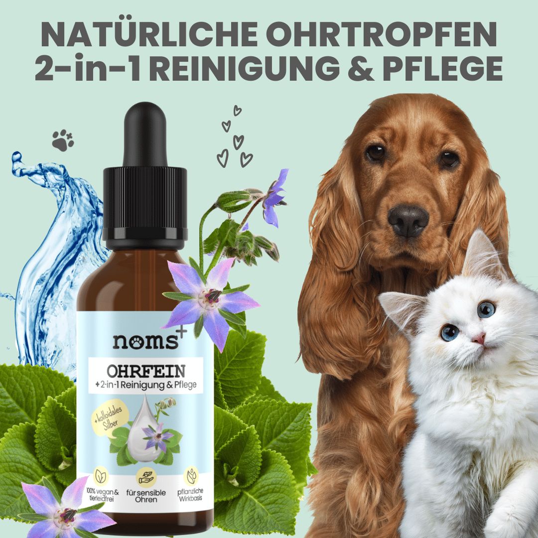 noms+ 2-in-1 Ohrfein Reinigung & Pflege mit kolloidalem Silber für Hunde Katzen 50 ml Ohrentropfen