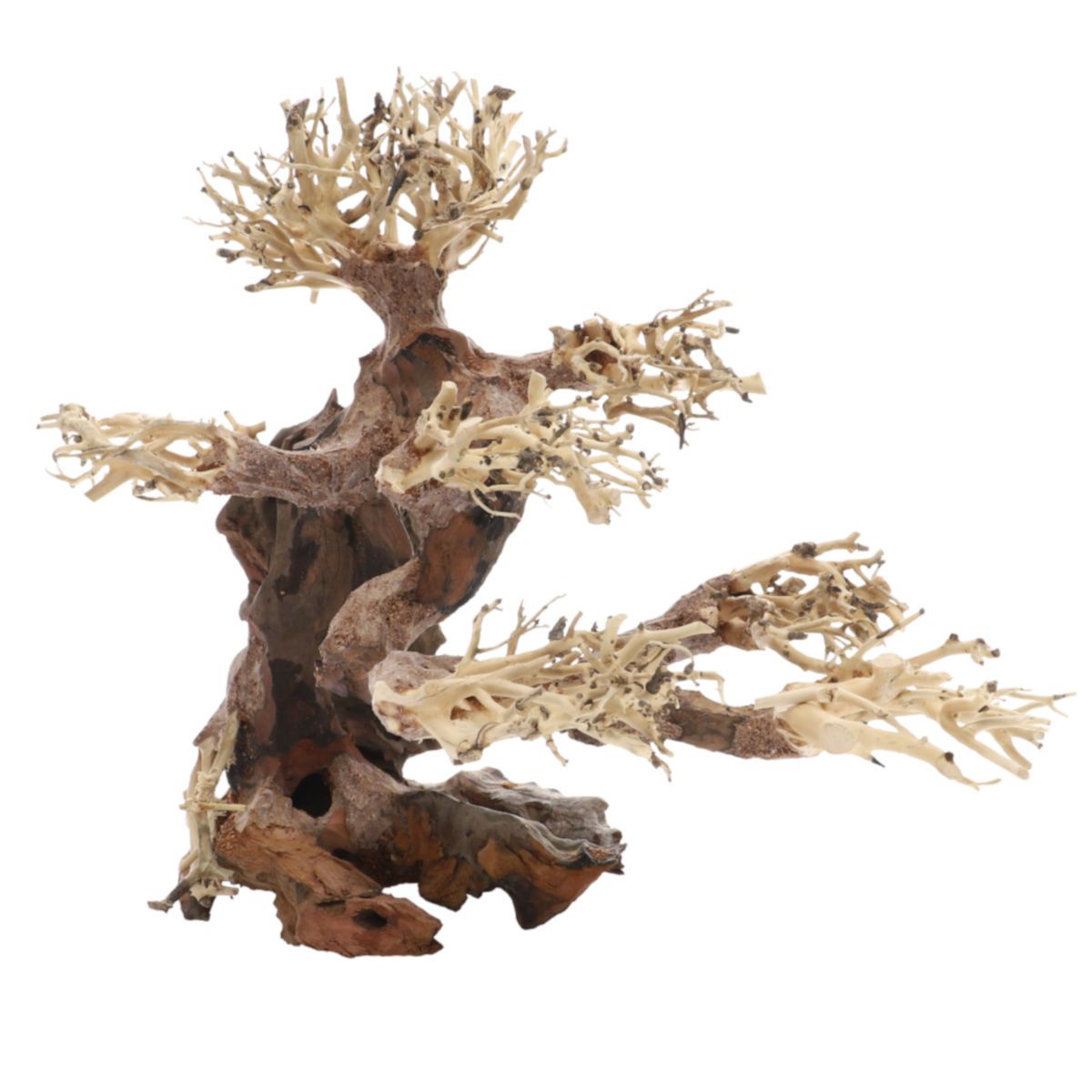 Aquarien-Dekoration, handgefertigter Bonsai-Baum aus Holz. Natürliche Farben: Braun und Beige. Astförmige Struktur.