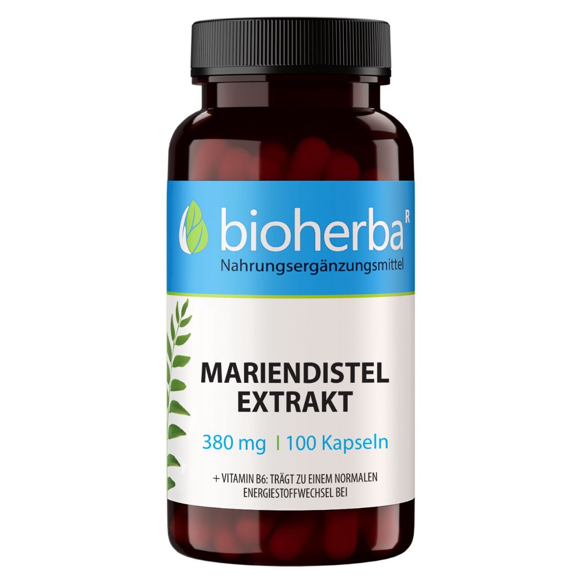 Braune Flasche mit schwarzen Deckel. Etikett mit Mariendistel Extrakt, 380 mg, 100 Kapseln. Marke: Bioherba.