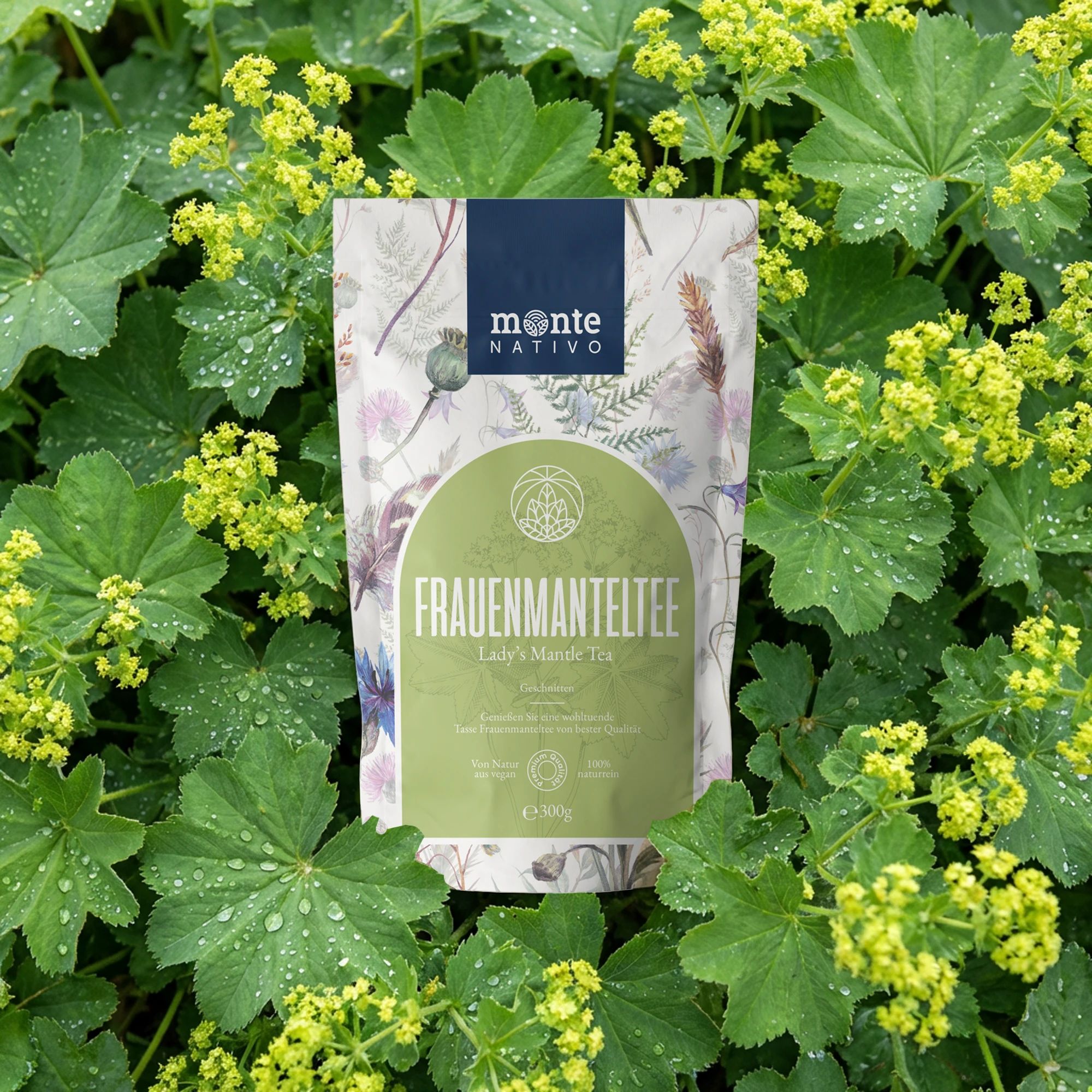 Kräutertee-Beutel zwischen Blättern. Aufdruck: Monte Nativo, Frauenmanteltee. 100% natürlich. Blüten.