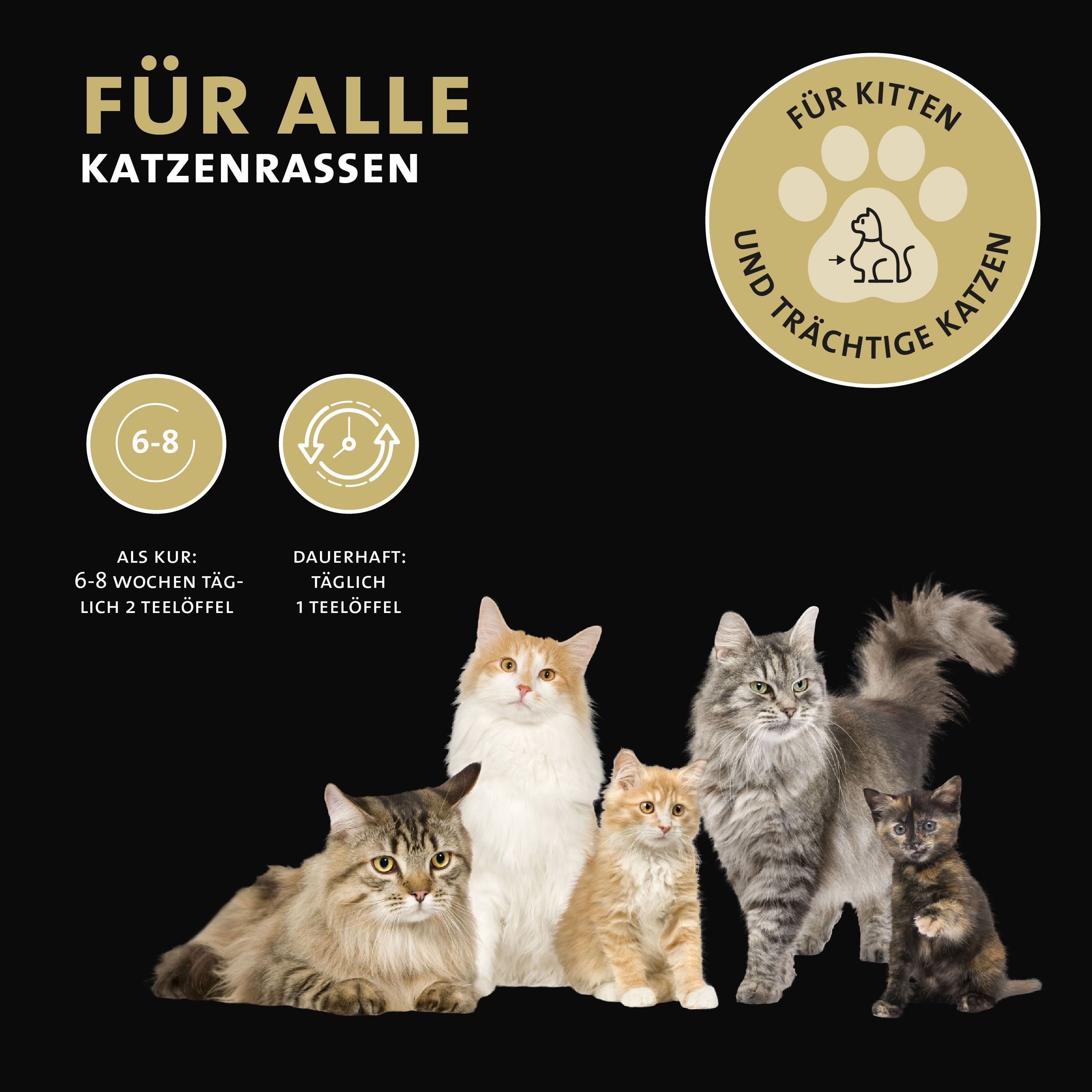 Verschiedene Katzenrassen. Text: Für alle Katzenrassen. Logo: Für Kitten und trächtige Katzen. Dosierung.