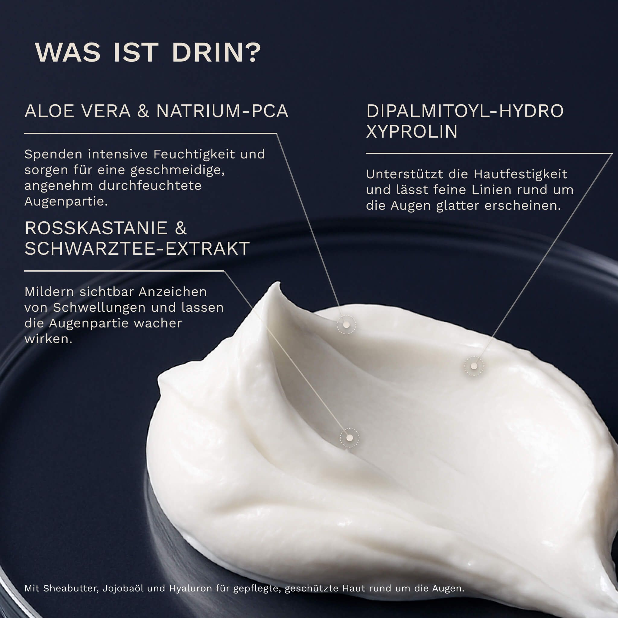 Nahaufnahme Creme. Text: Aloe Vera & Natrium-PCA, Dipalmitoyl-Hydroxyprolin, Rosskastanie & Schwarztee-Extrakt.