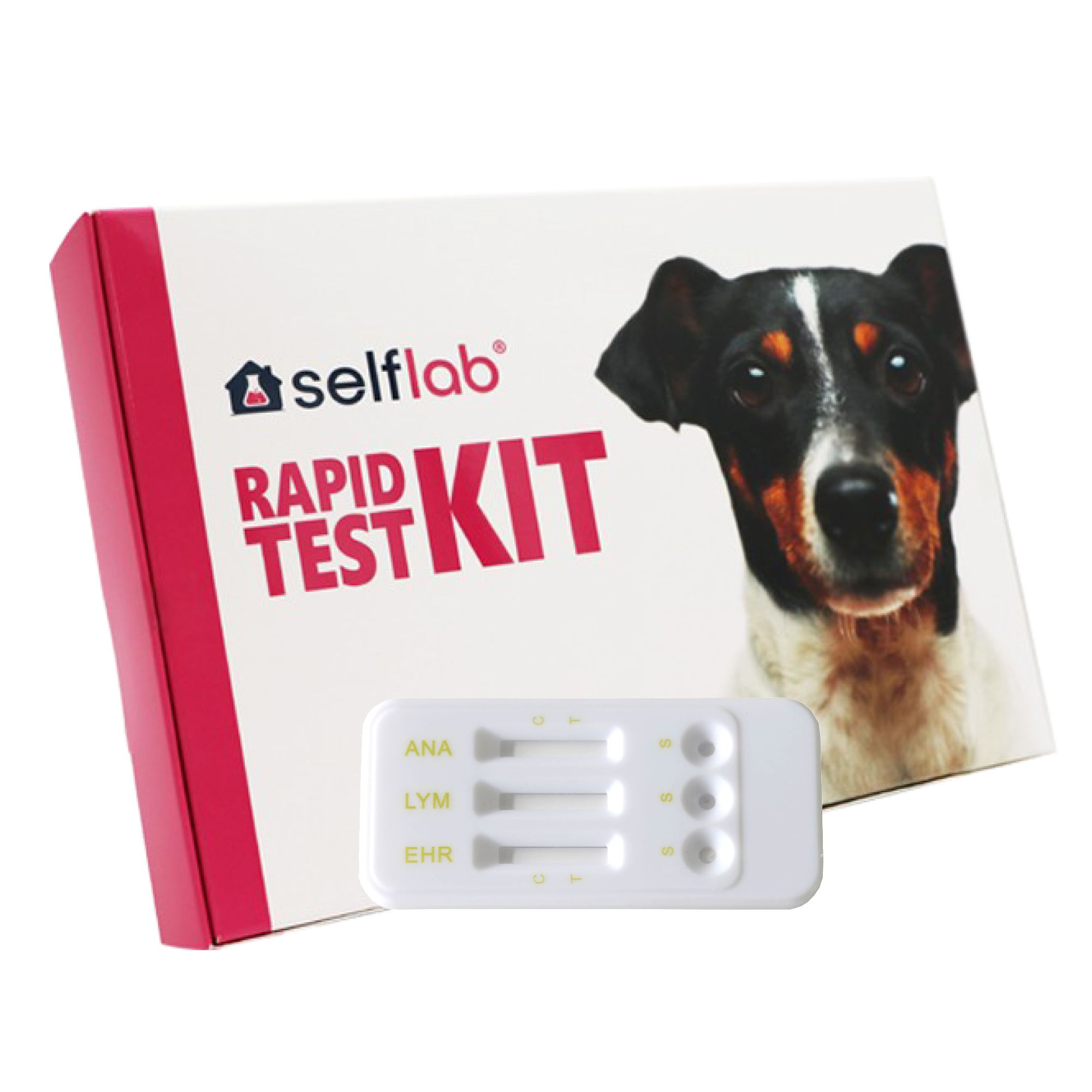 selfab Schnelltest Zecken übertragene Krankheiten bei Hunden – Ehrlichiose, Borreliose, Anaplasmose