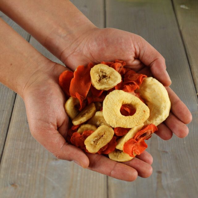Getrocknete Obst- und Gemüsestücke in offenen Händen. Hauptsächlich rot, gelb und beige. Verschiedene Formen und Größen.