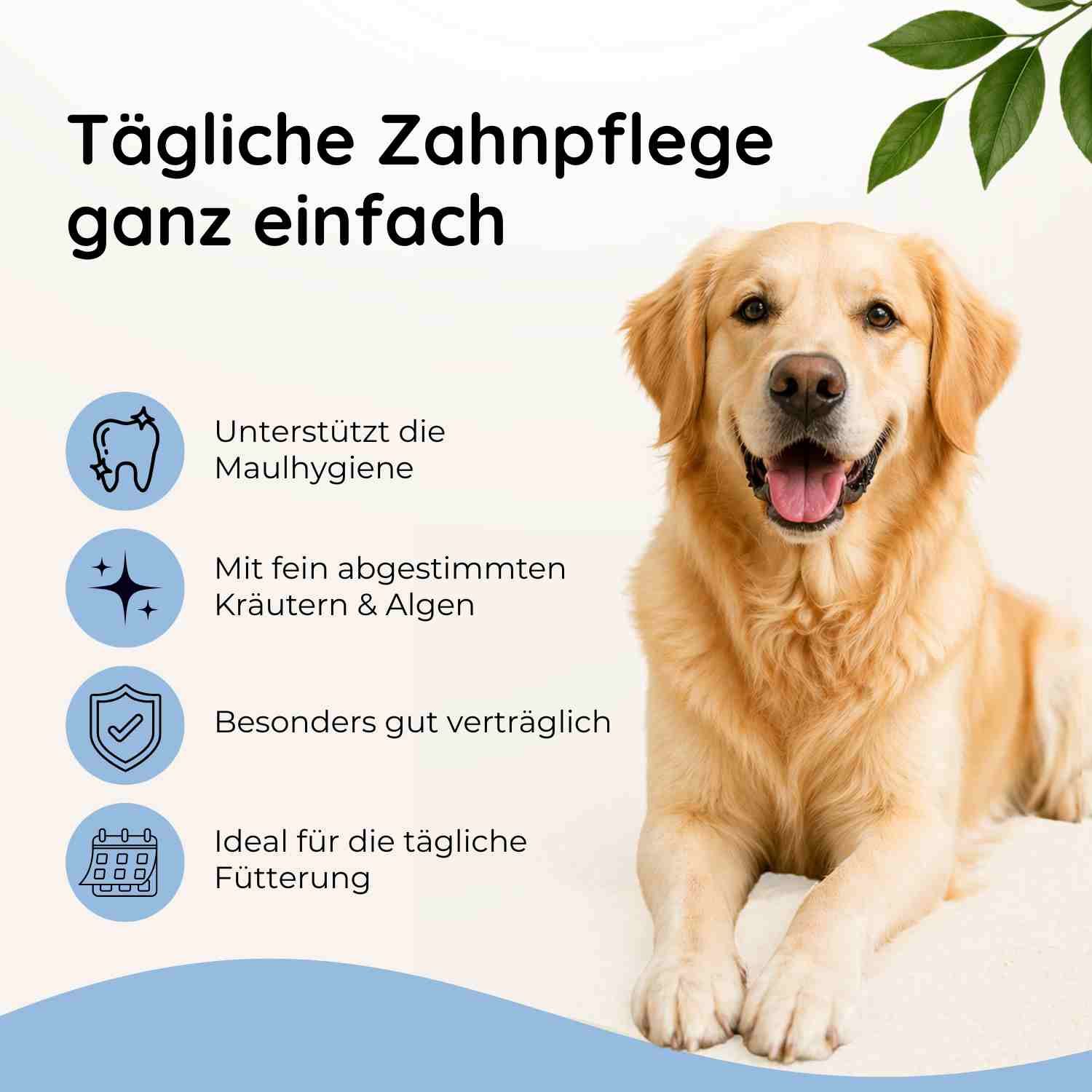 Tägliche Zahnpflege ganz einfach: Unterstützt die Maulhygiene. Mit fein abgestimmten Kräutern & Algen. Besonders gut verträglich. Ideal für die tägliche Fütterung.