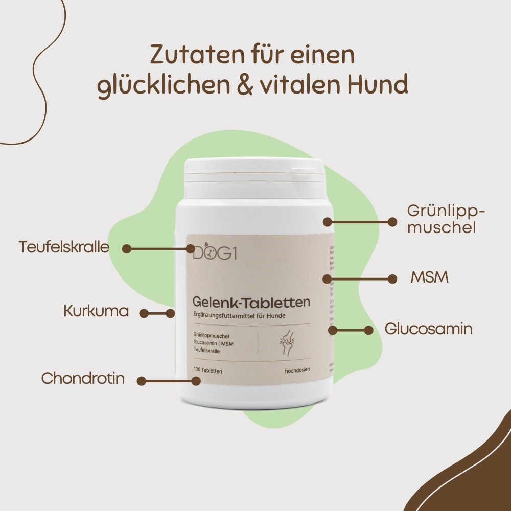 Dose DOG1 Gelenk-Tabletten. Zutaten: Teufelskralle, Kurkuma, Chondroitin, Grünlippmuschel, MSM, Glucosamin.