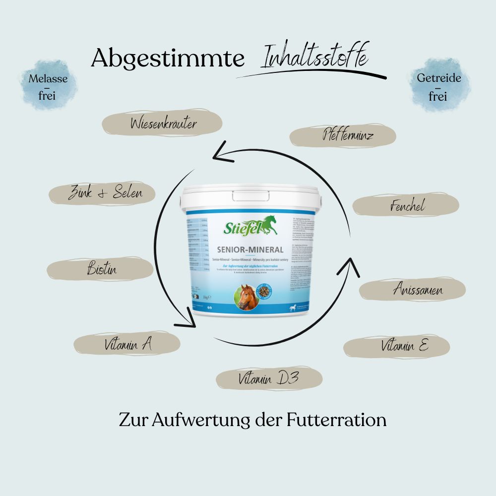 Weißer Eimer mit Produktinformationen und Inhaltsstoffen. Text: Stiefel Senior-Mineral, Zur Aufwertung der Futterration.