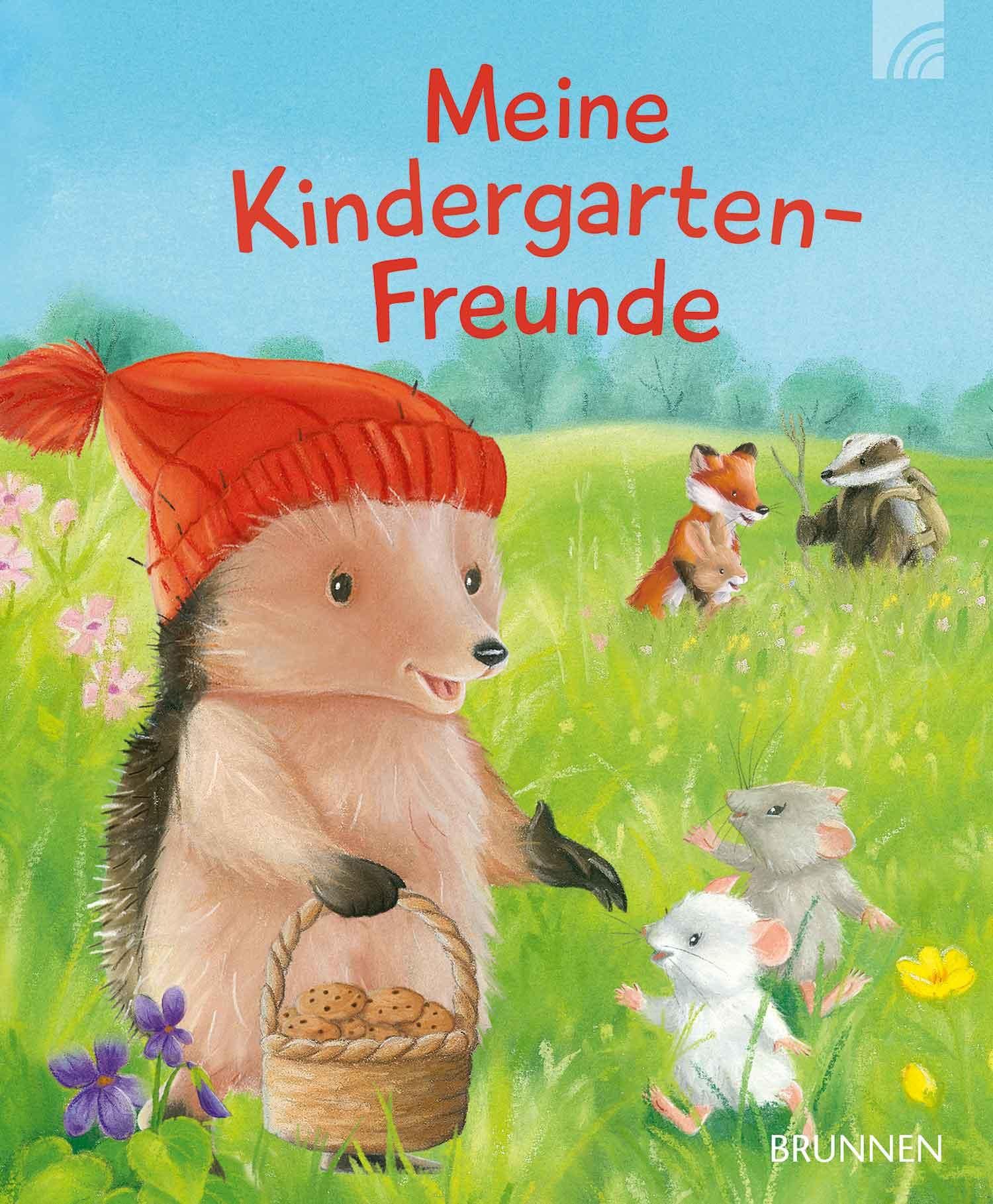 Meine Kindergarten-Freunde Der kleine Igel