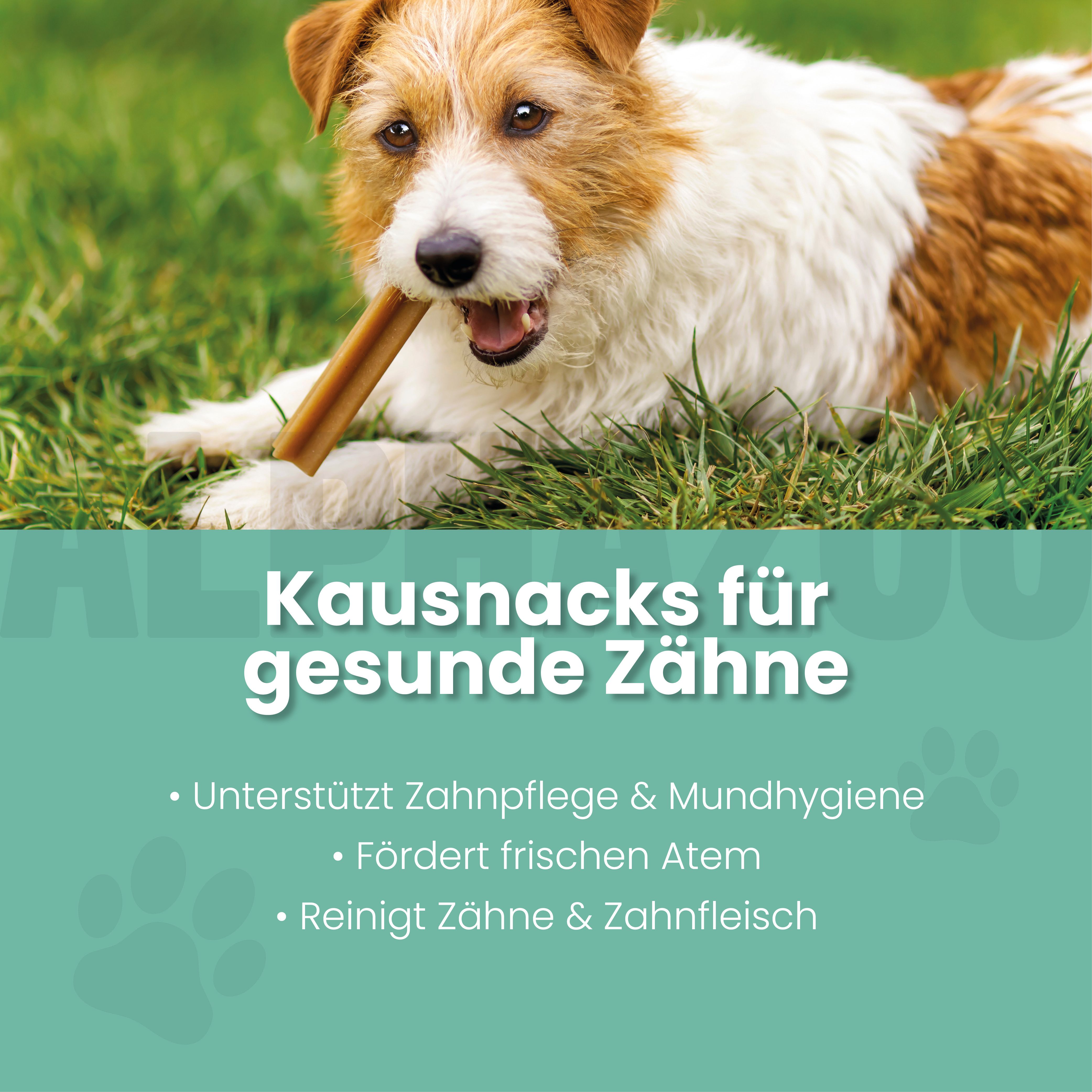 alphazoo Zähne Zeigen Dentalsticks für Hunde – Zahnpflege & Anti Plaque