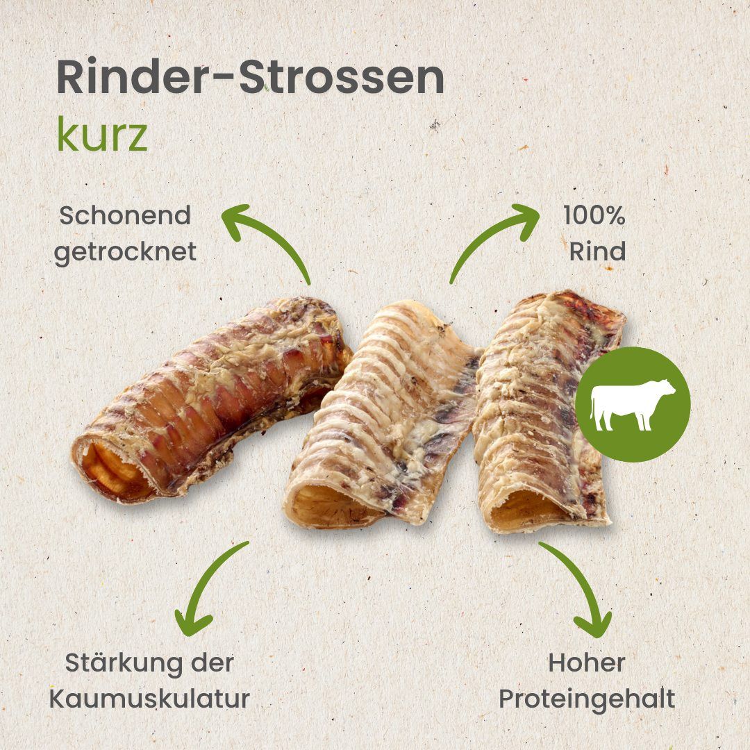 Kurze Rinder-Strossen: Schonend getrocknet, 100% Rind. Stärkung der Kaumuskulatur, hoher Proteingehalt.