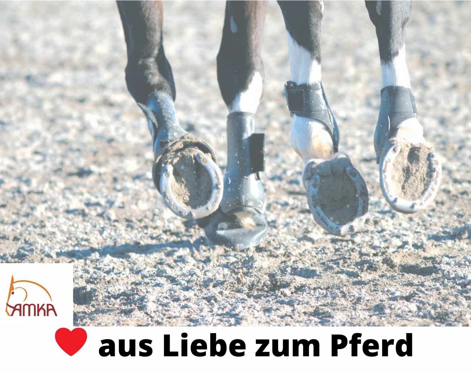 AMKA Springgamaschen Jump
