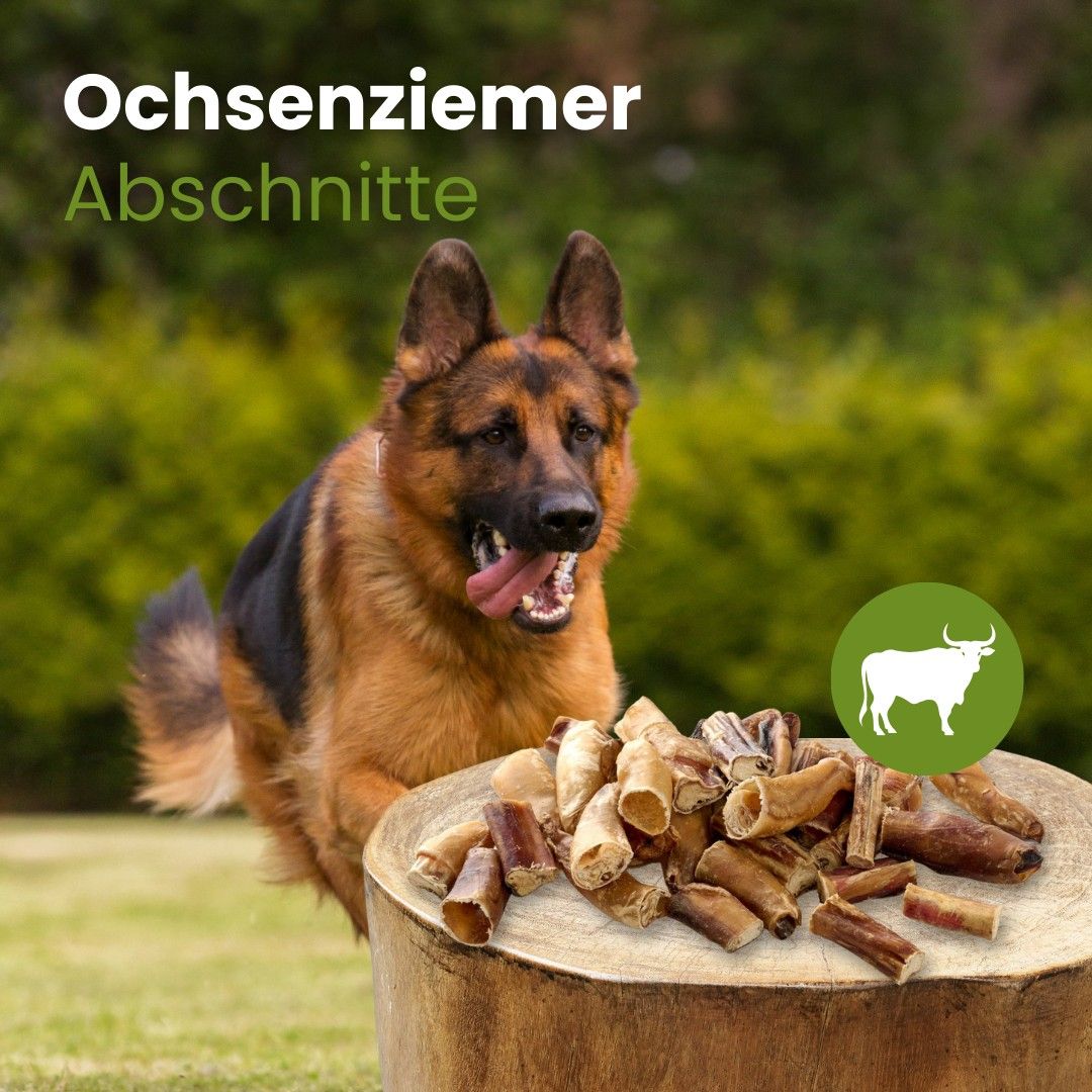 Haufen von Ochsenziemer-Abschnitten, 100% Rind, hoher Proteingehalt.