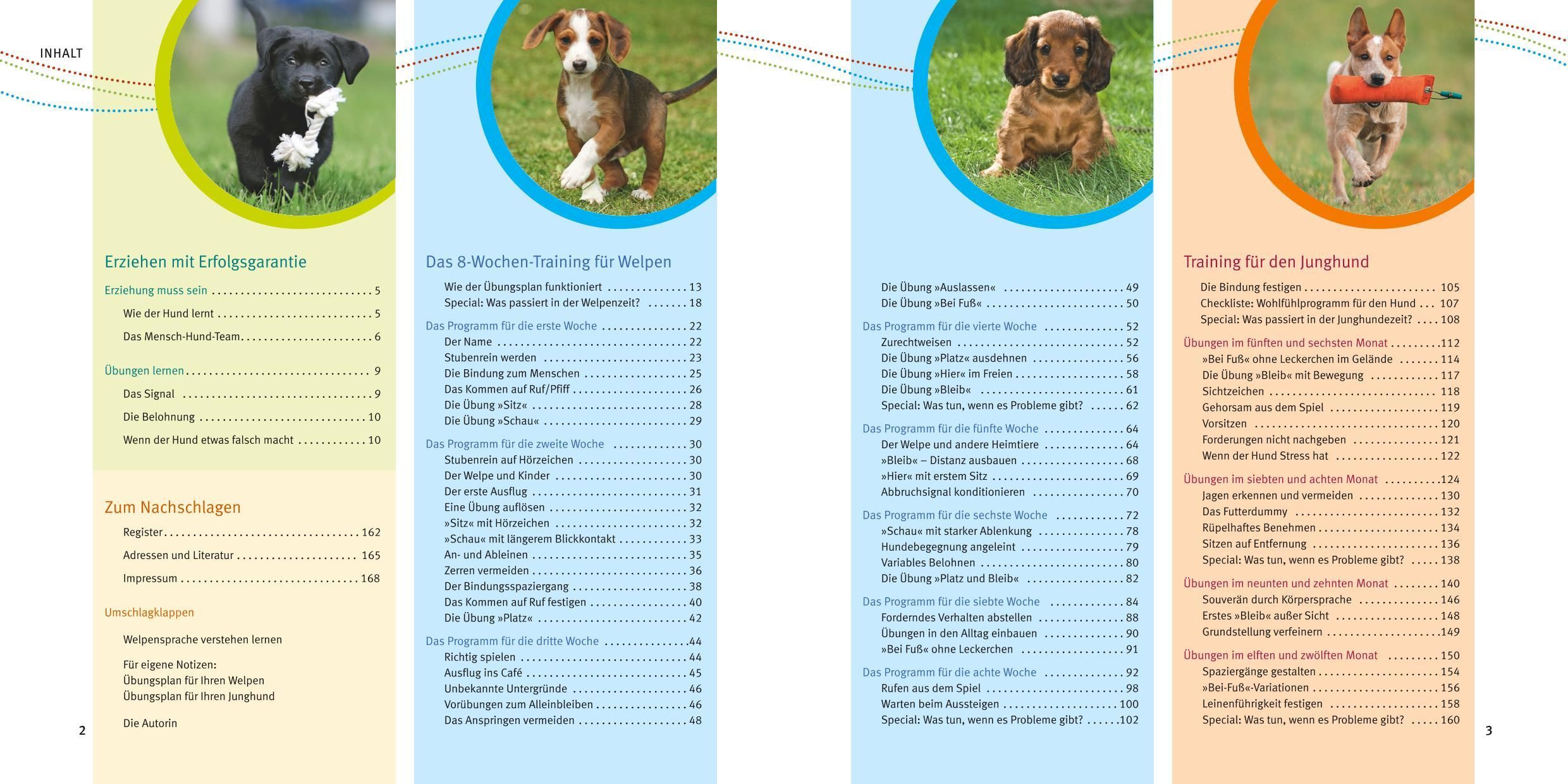 Buchseiten mit Inhaltsverzeichnis und Text über Welpen-Erziehung. Illustrationen von Hunden. Kapitelüberschriften und Seitenzahlen.