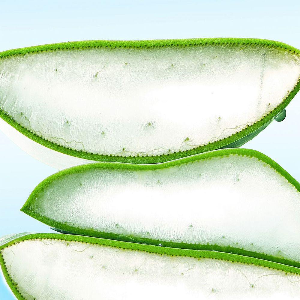 Drei Aloe Vera-Blattstücke, grün und weiß, mit Tropfen.