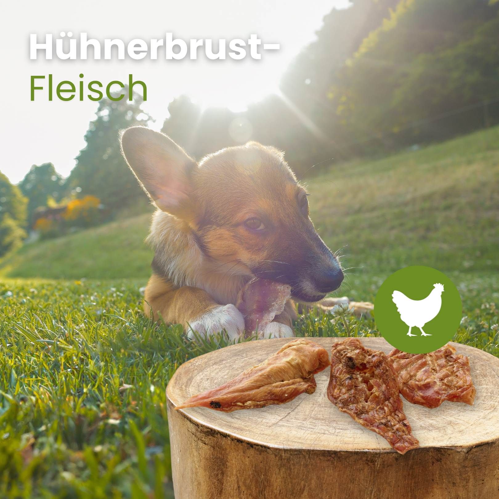 Drei getrocknete Hühnerbruststücke auf weißem Hintergrund.