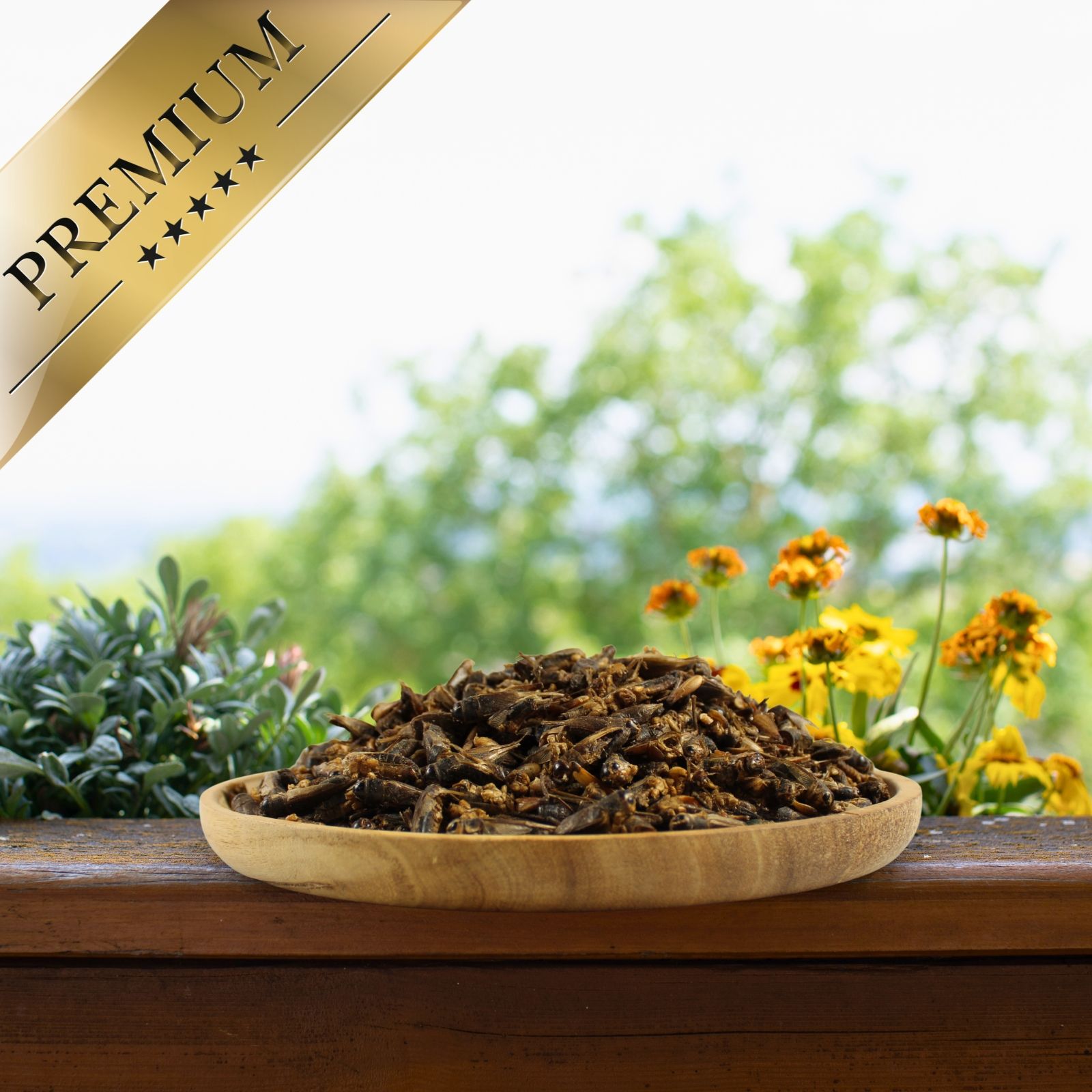 Lyra Pet® Insekten Probier Mix getrocknet