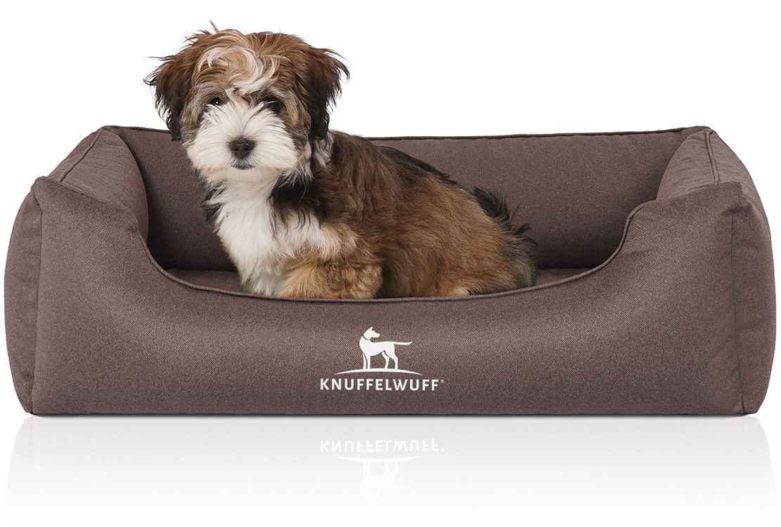 Braunes orthopädisches Hundebett Leon. Kleiner Hund sitzt im Bett. Logo Knuffelwuff. Rechteckige Form mit erhöhten Seiten.