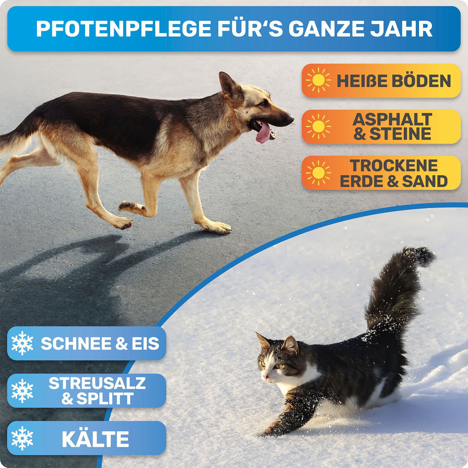 Hund und Katze auf verschiedenen Untergründen. Text: Pfotenpflege fürs ganze Jahr, Hitze, Asphalt, Schnee, Kälte.
